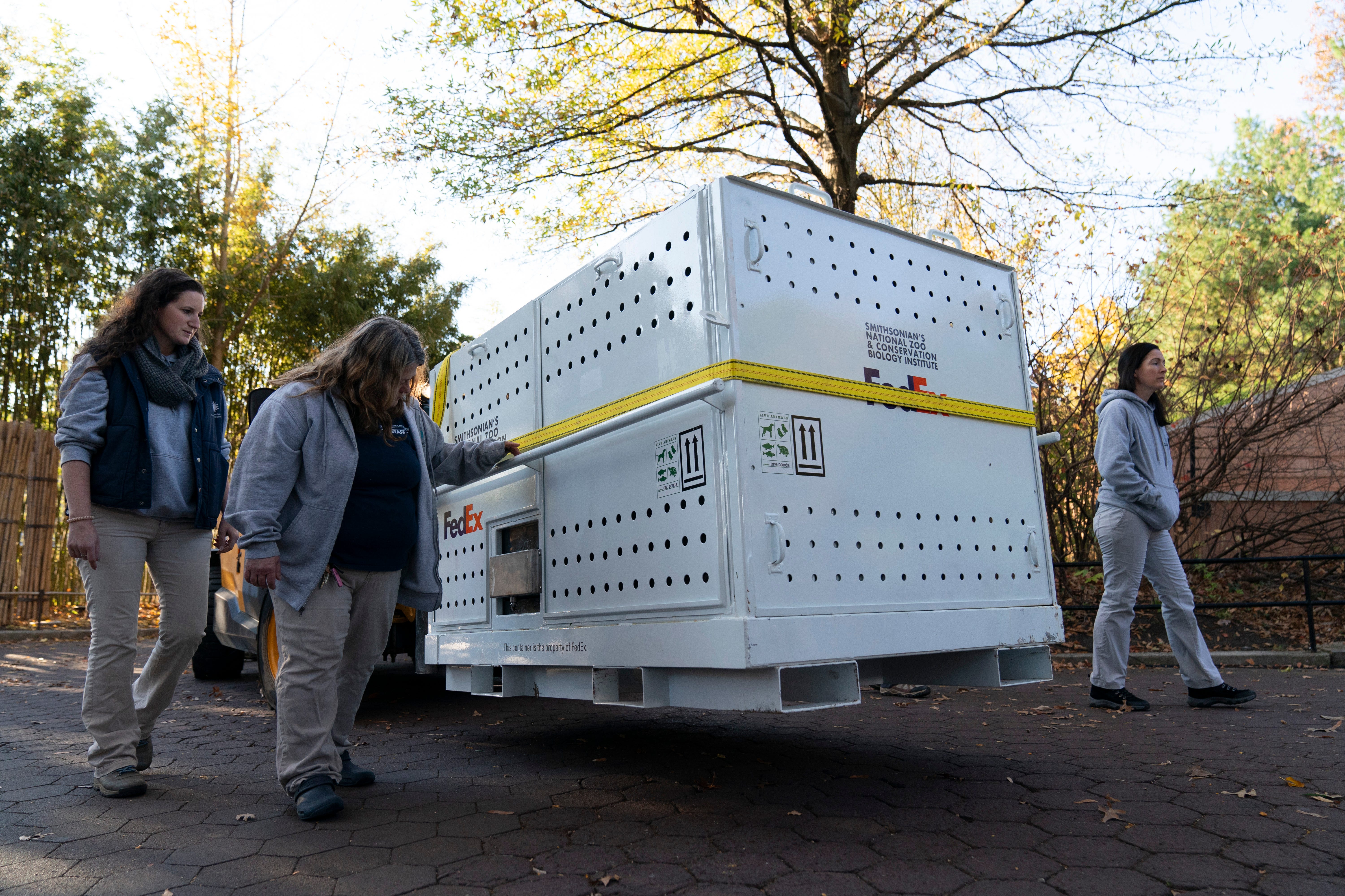 Der Große Panda Mei Xiang wird in einer Kiste transportiert, um den Smithsonian National Zoo and Conservation Biology Institute in Washington auf dem Weg zum Washington Dulles International Airport zu verlassen, wo sie am Mittwoch, den 8. November 2023, an Bord des FedEx Panda Express nach China reisen wird.