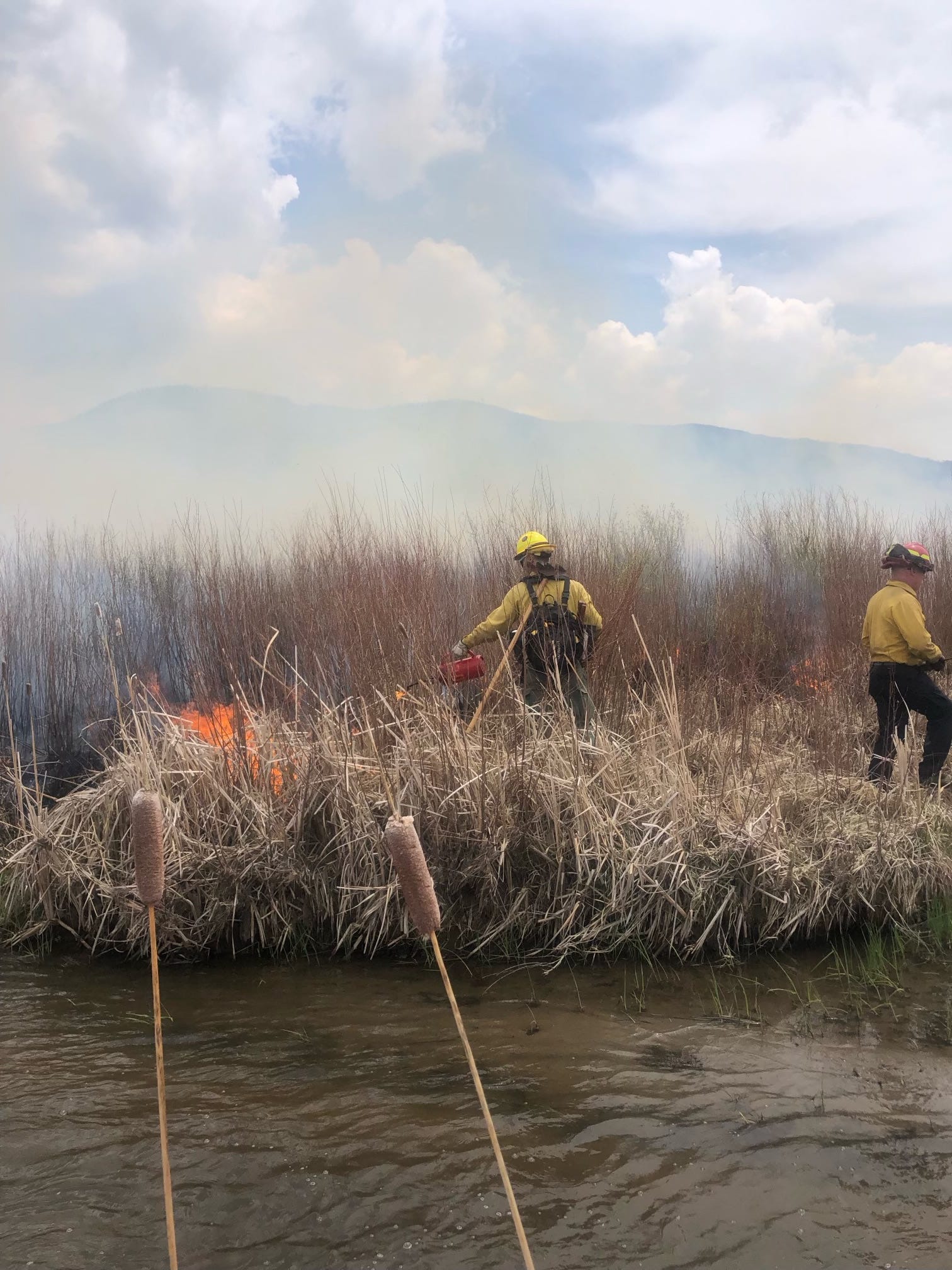 Feuerwehrleute in Colorado löschen Brände in der Vegetation