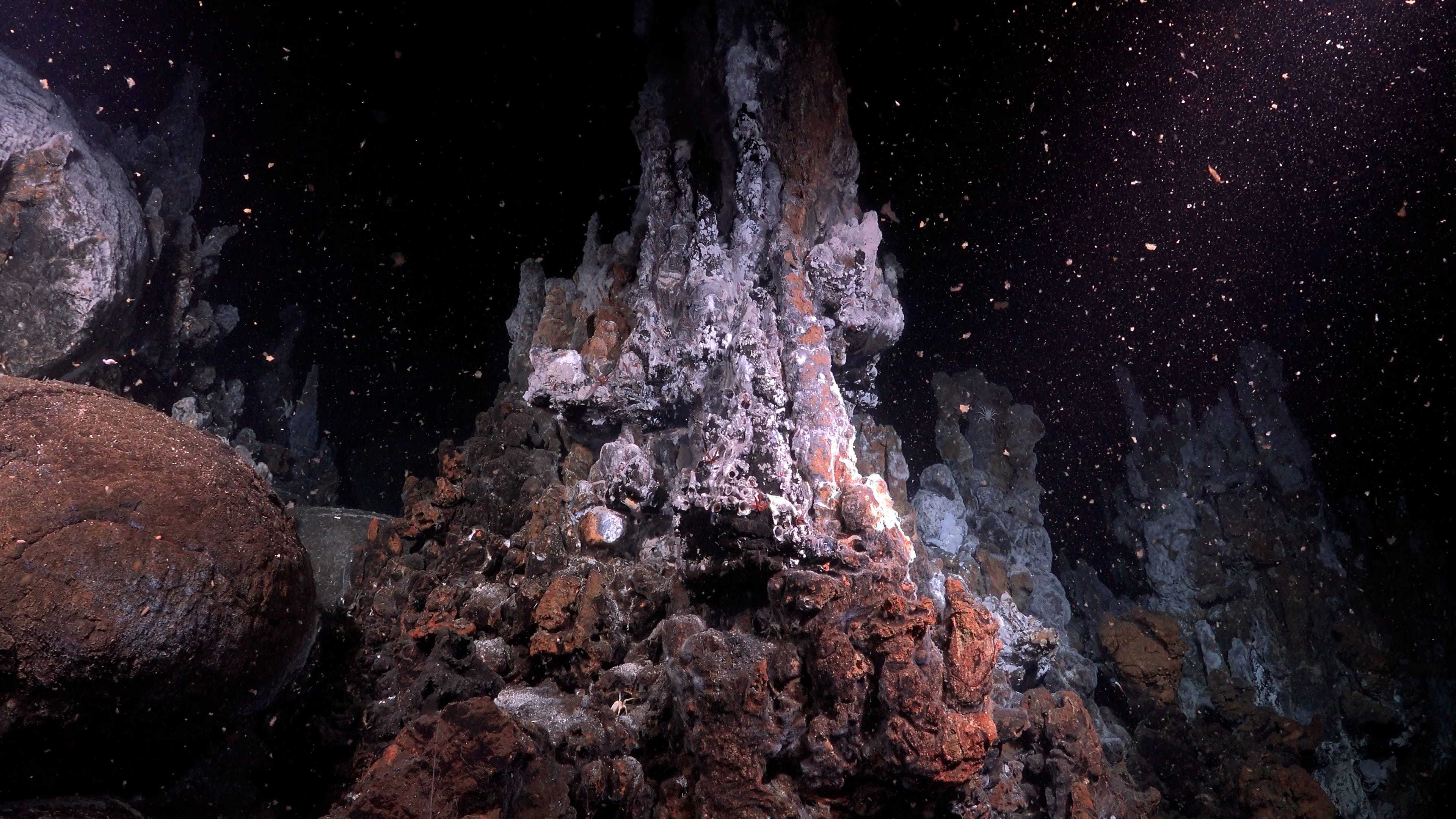 Lila und orangefarbene Schornsteine ​​und geologische Strukturen auf dem Meeresboden