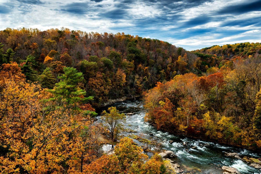 Roanoke River in Virginia, umgeben von Bäumen mit Herbstlaub