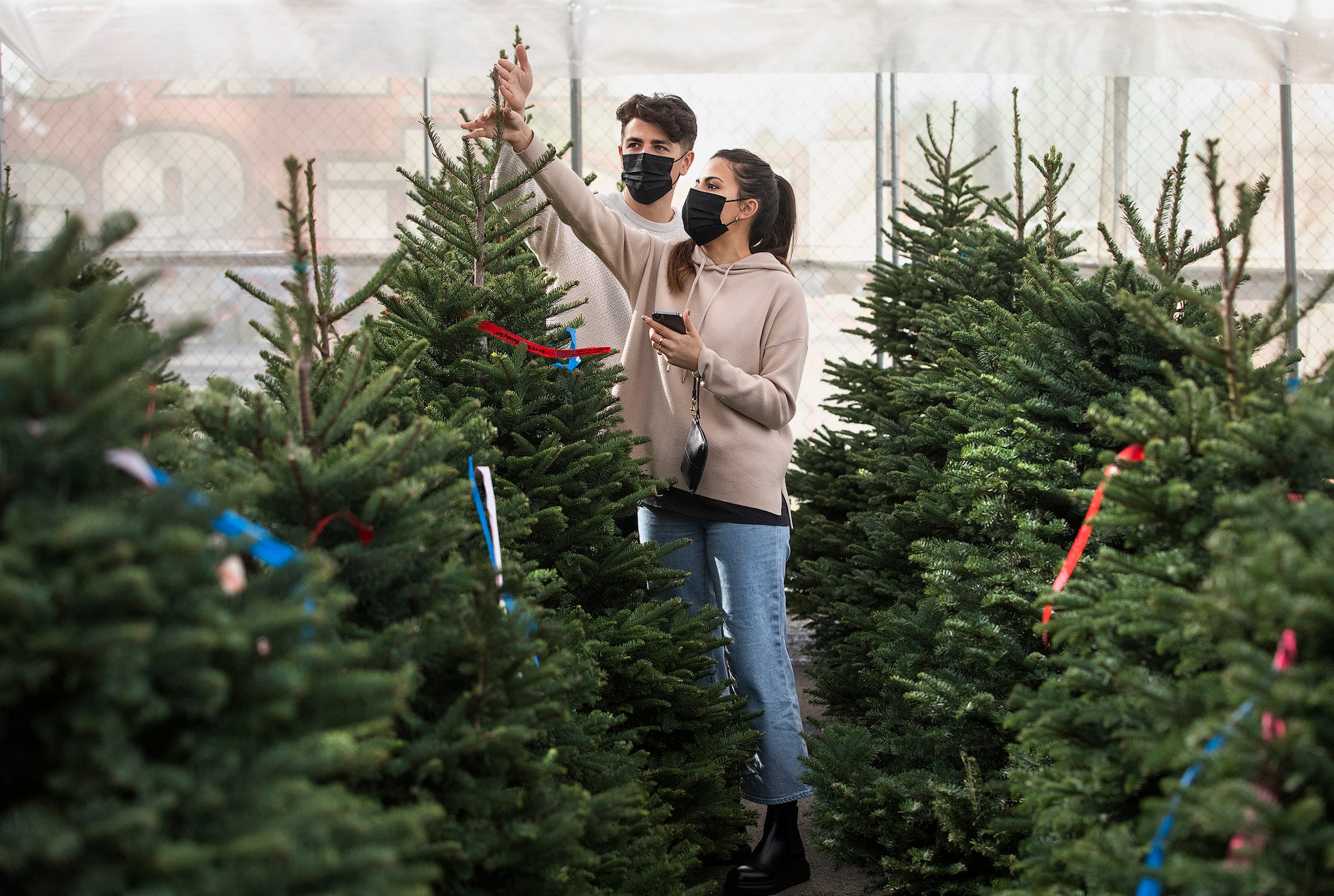 Zwei maskierte Menschen berühren neben vielen anderen Bäumen einen Edeltannen-Weihnachtsbaum
