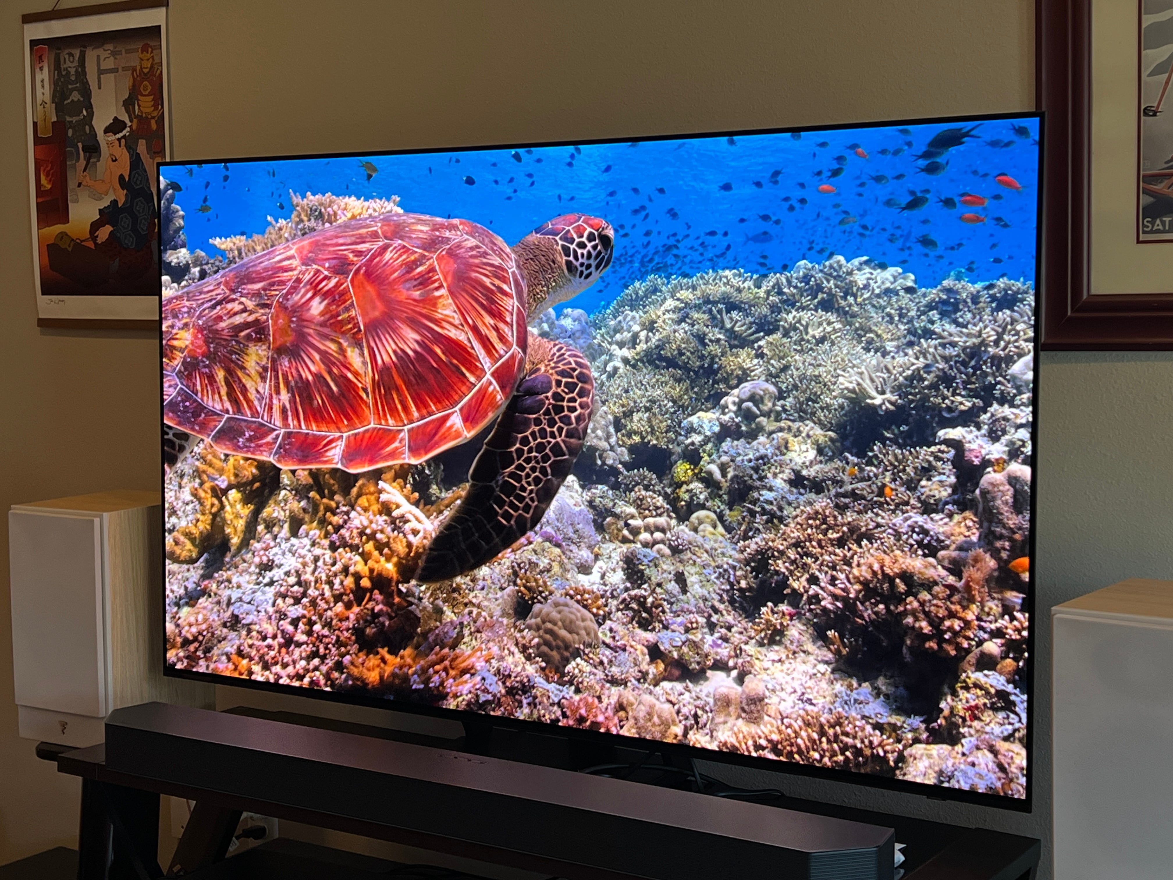 Der Samsung S90C-Fernseher mit einer Unterwasseraufnahme auf dem Bildschirm, aufgenommen von der Seite.