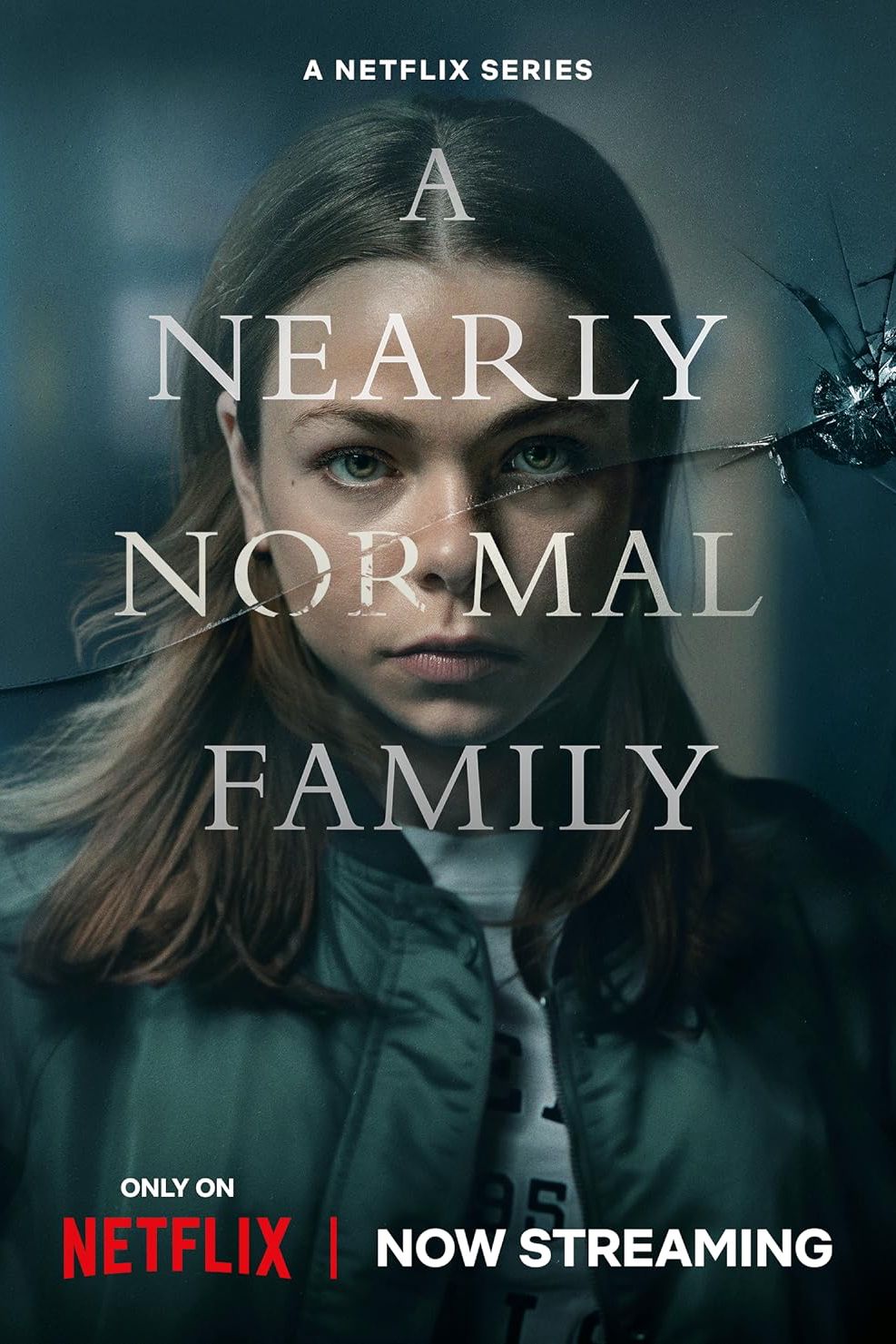 Ein fast normales Familien-Netflix-Poster