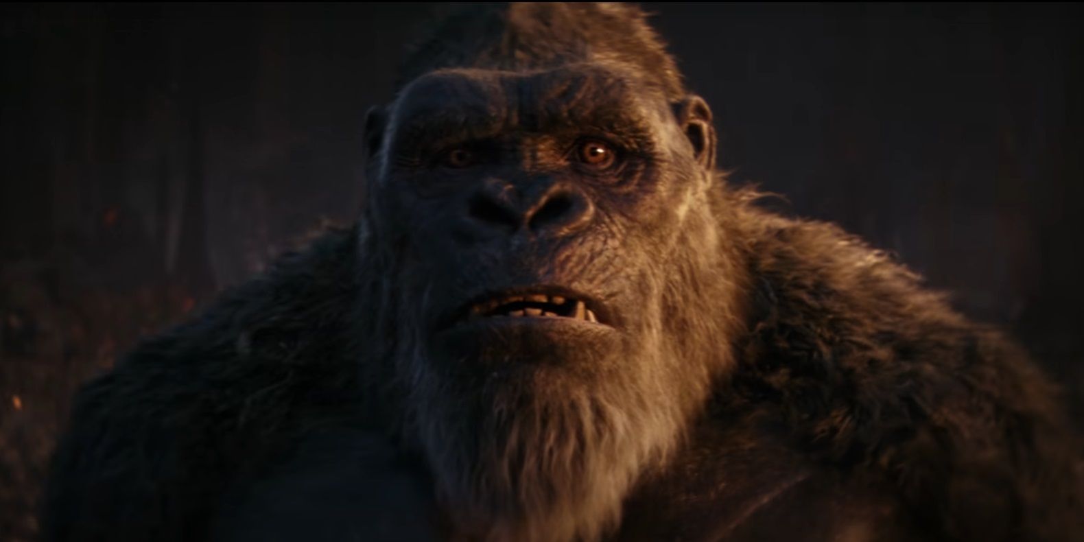 Kong sieht in Godzilla x Kong besorgt aus