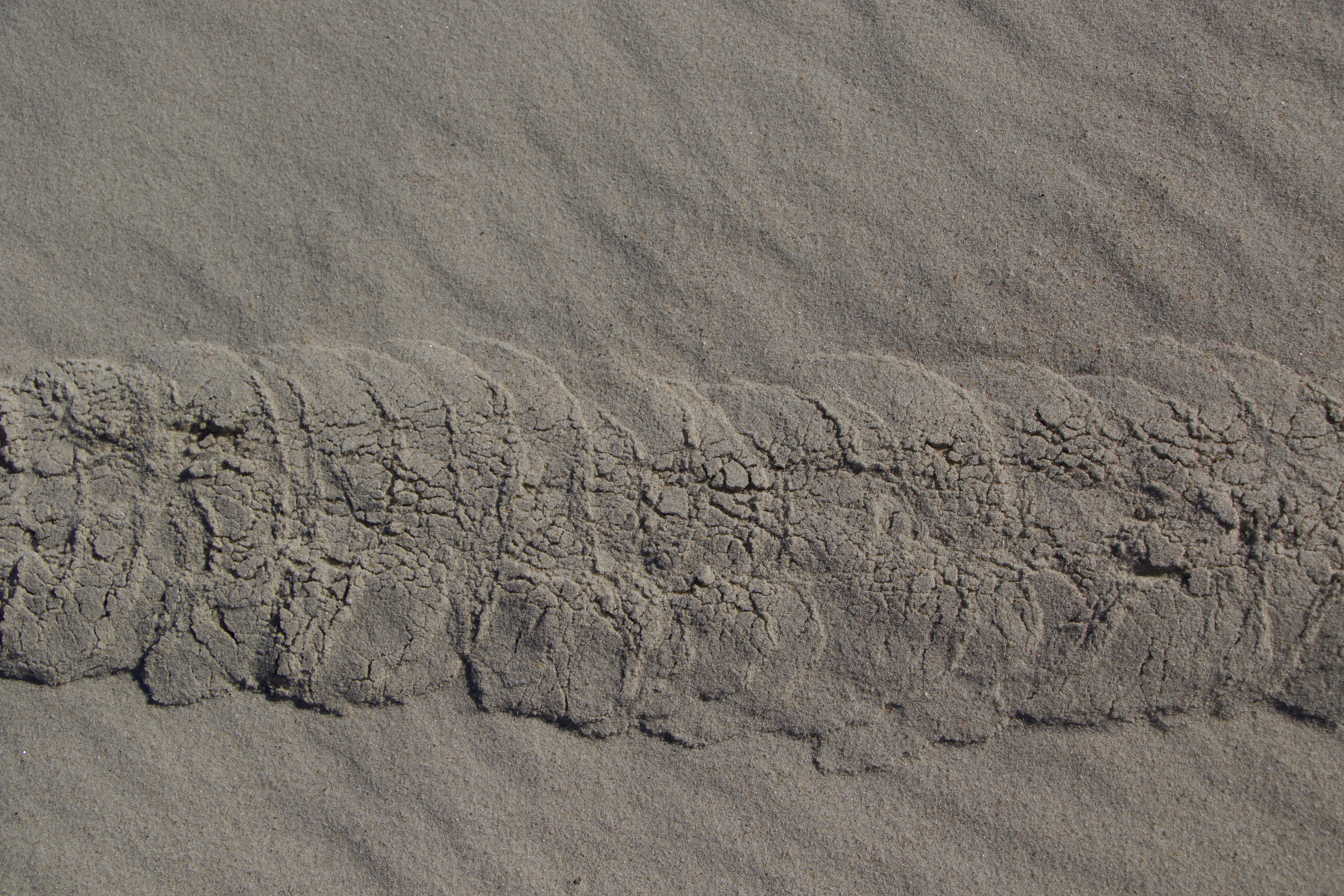 Ein Foto des von goldenen Maulwürfen aufgewühlten Sandes in Südafrika.