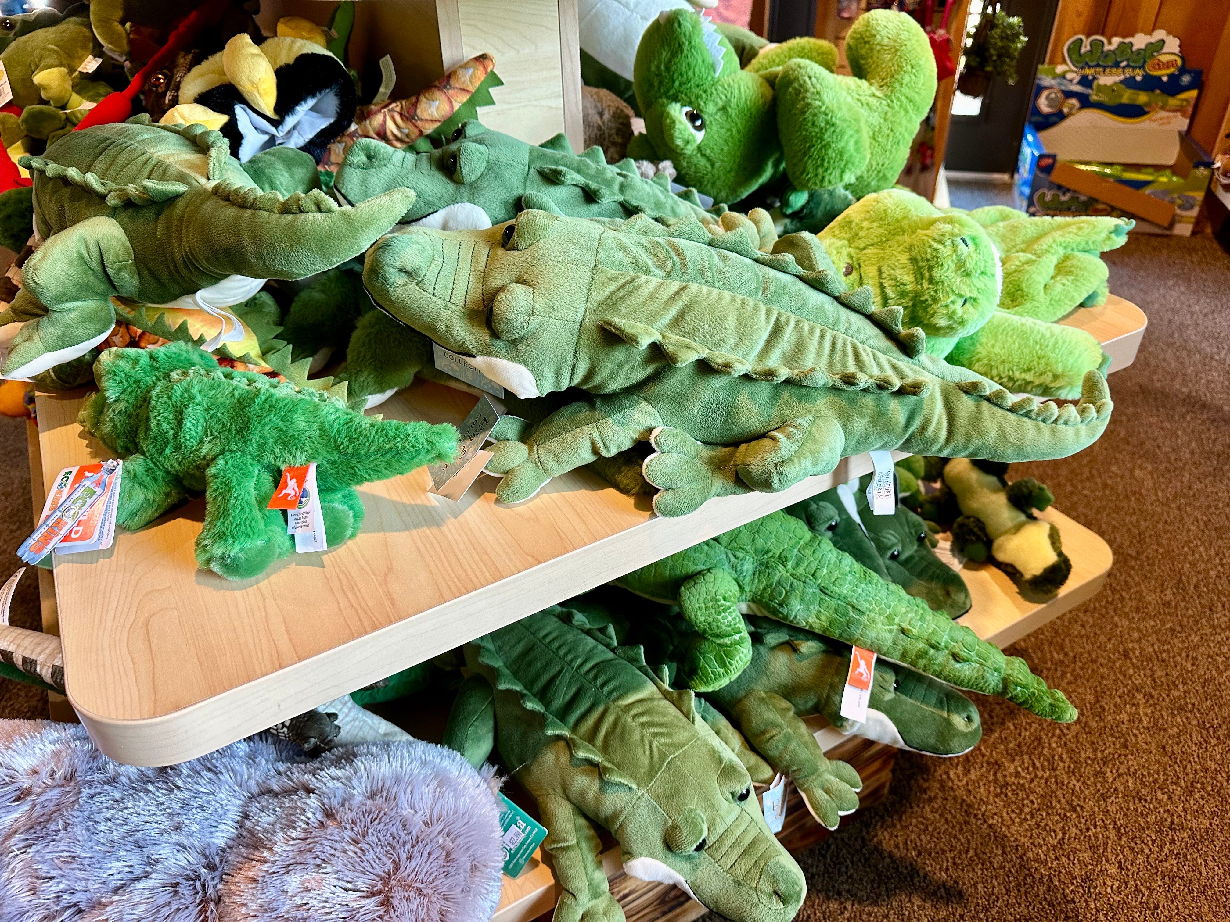 Alligator-Plüschtiere in einem Geschenkeladen.