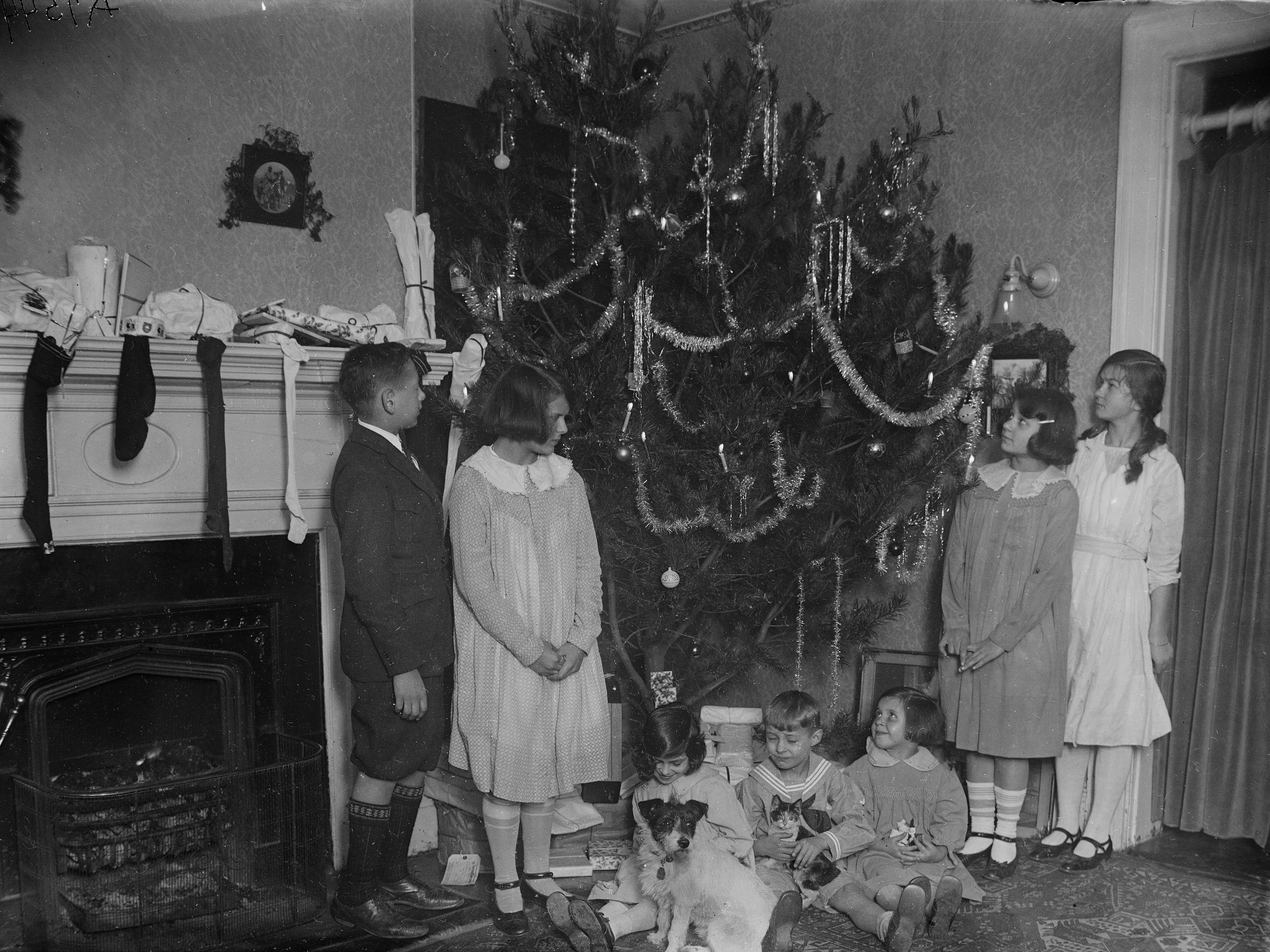 Eine Familie mit einem Weihnachtsbaum, zwischen 1921 und 1924.
