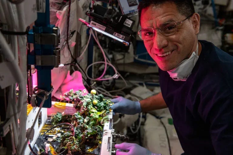 Frank Rubio lächelt während der Gartenarbeit im Weltraum