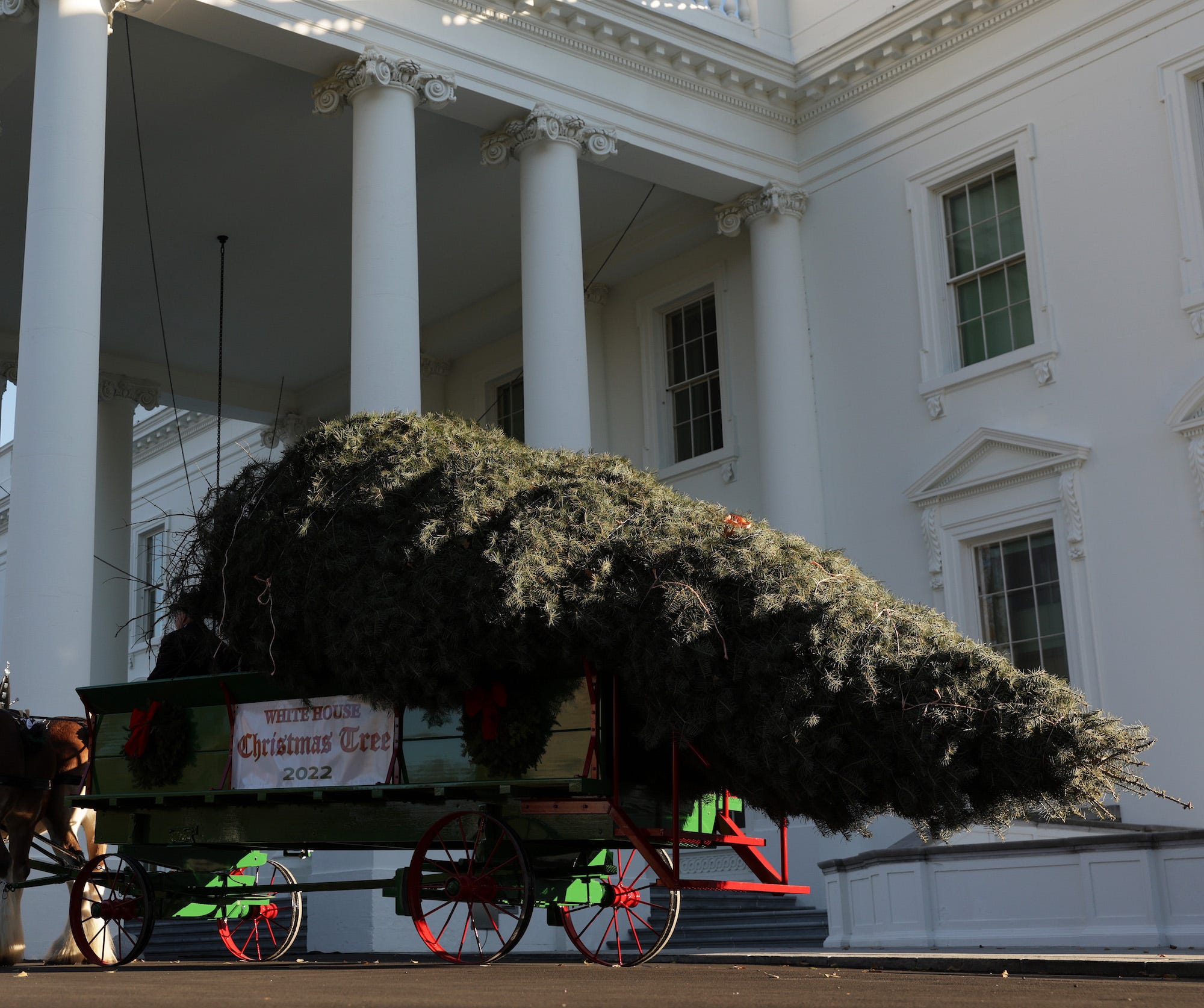 Eine Concolor-Tanne liegt auf einem Wagen vor dem Weißen Haus