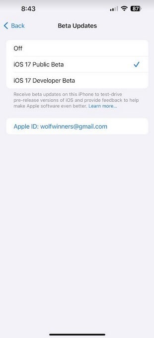 Installieren des iOS 17.3 Beta 1-Updates mit der Funktion „Schutz vor gestohlenen Geräten“ – Gehen Sie heute Abend mit Ihrem iPhone aus?  Machen Sie diese Fehler nicht!