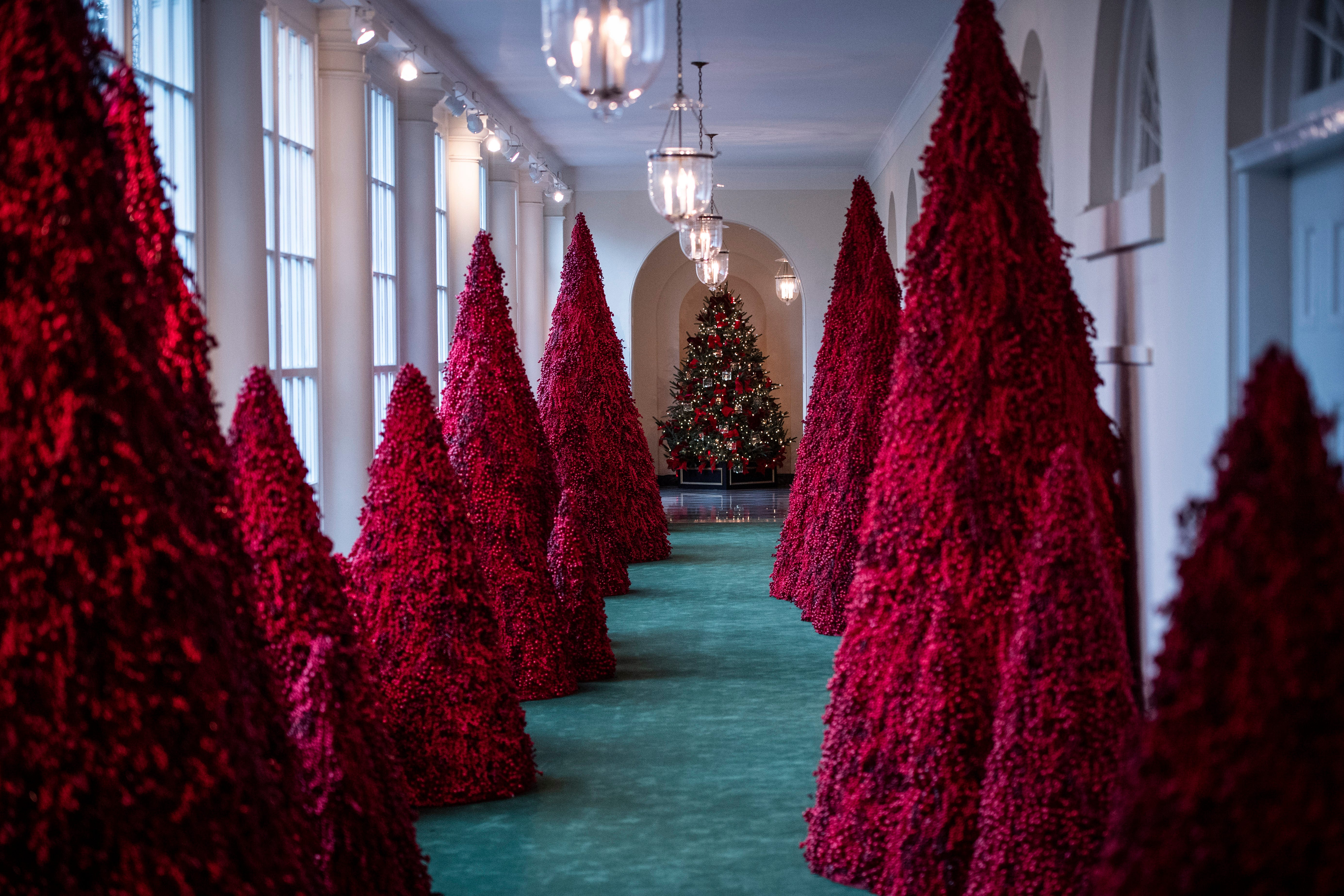 Weißes Haus, rote Bäume