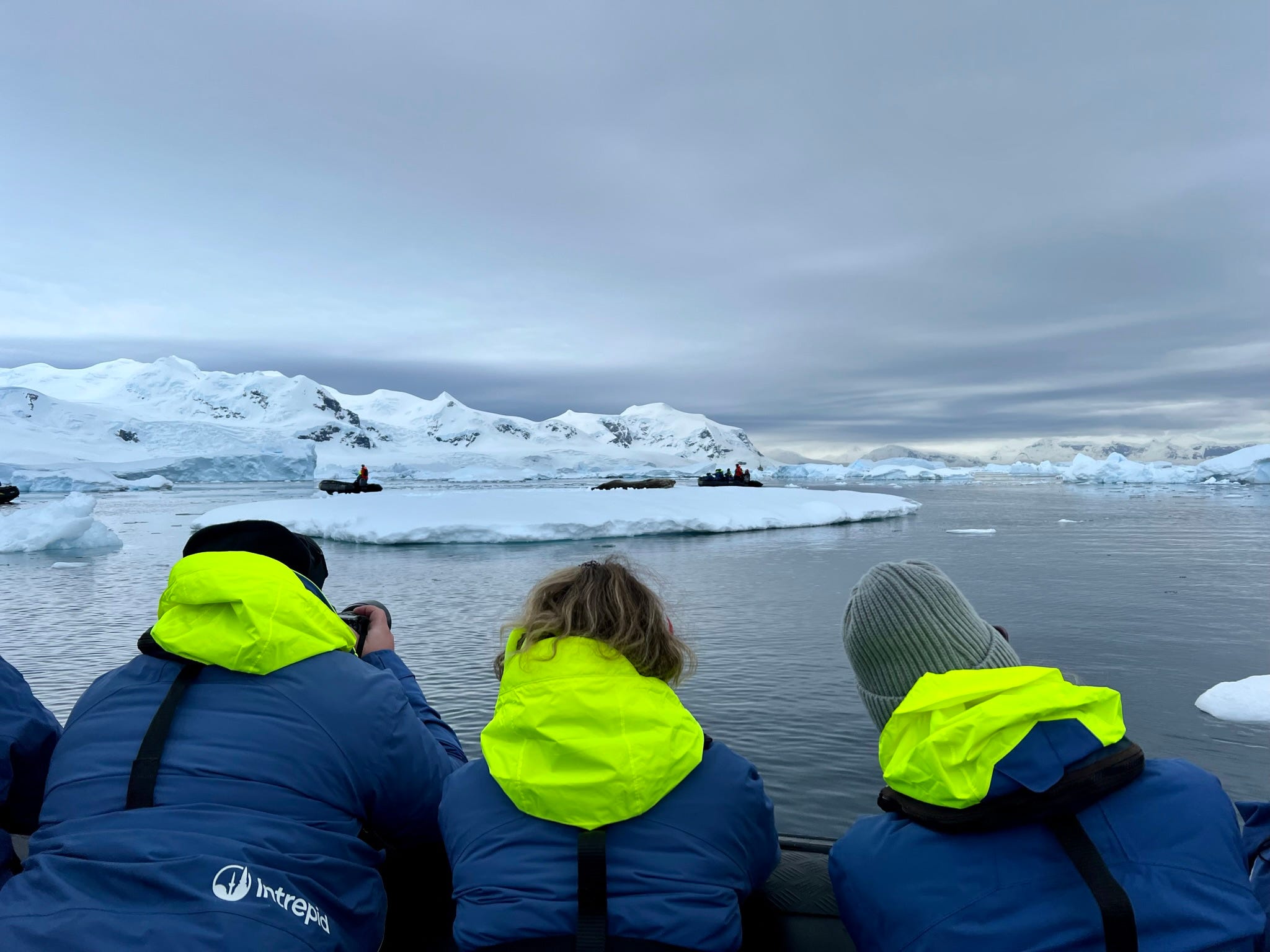 Intrepid Travel-Passagiere blicken auf die Antarktis.