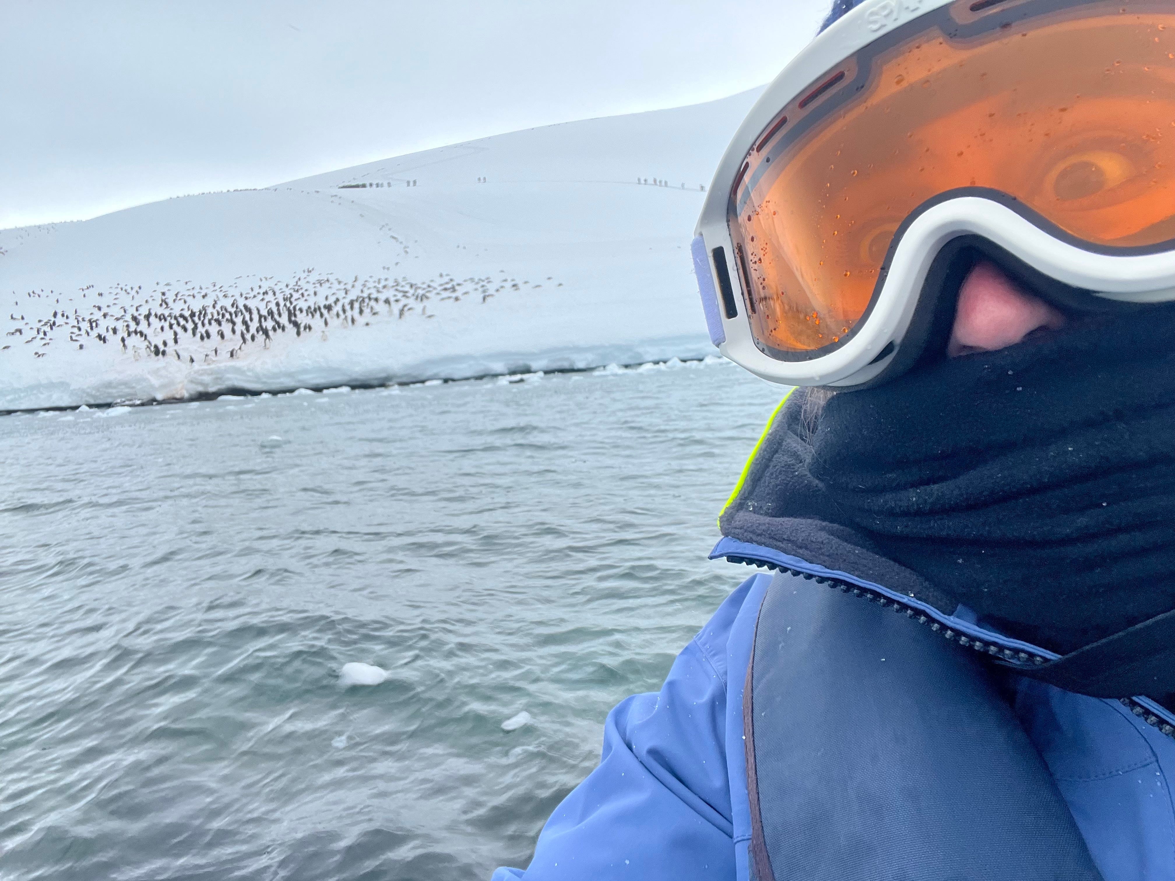 Ein Selfie des Autors auf einem Tierkreiszeichen mit Hunderten von Pinguinen im Hintergrund.