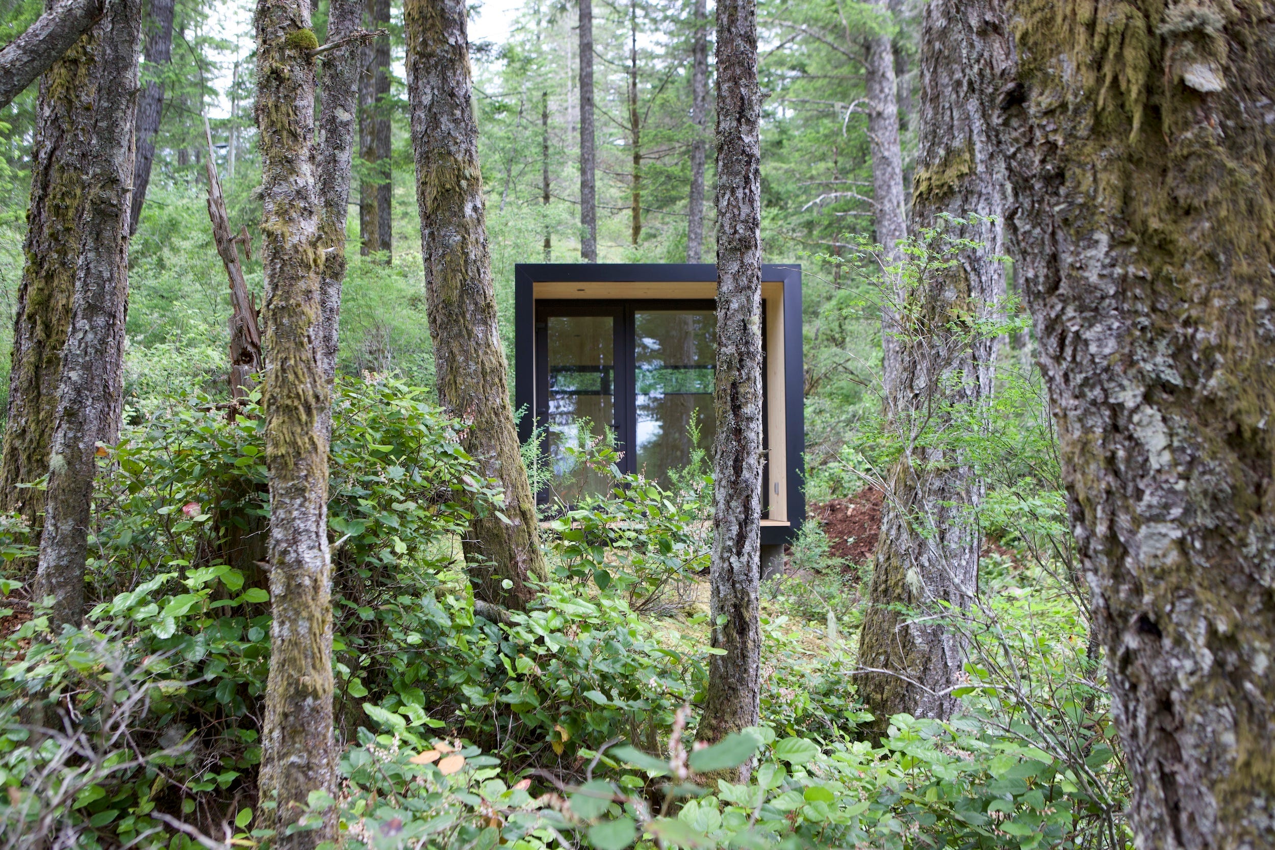 Eine Aux-Box tief im Wald.