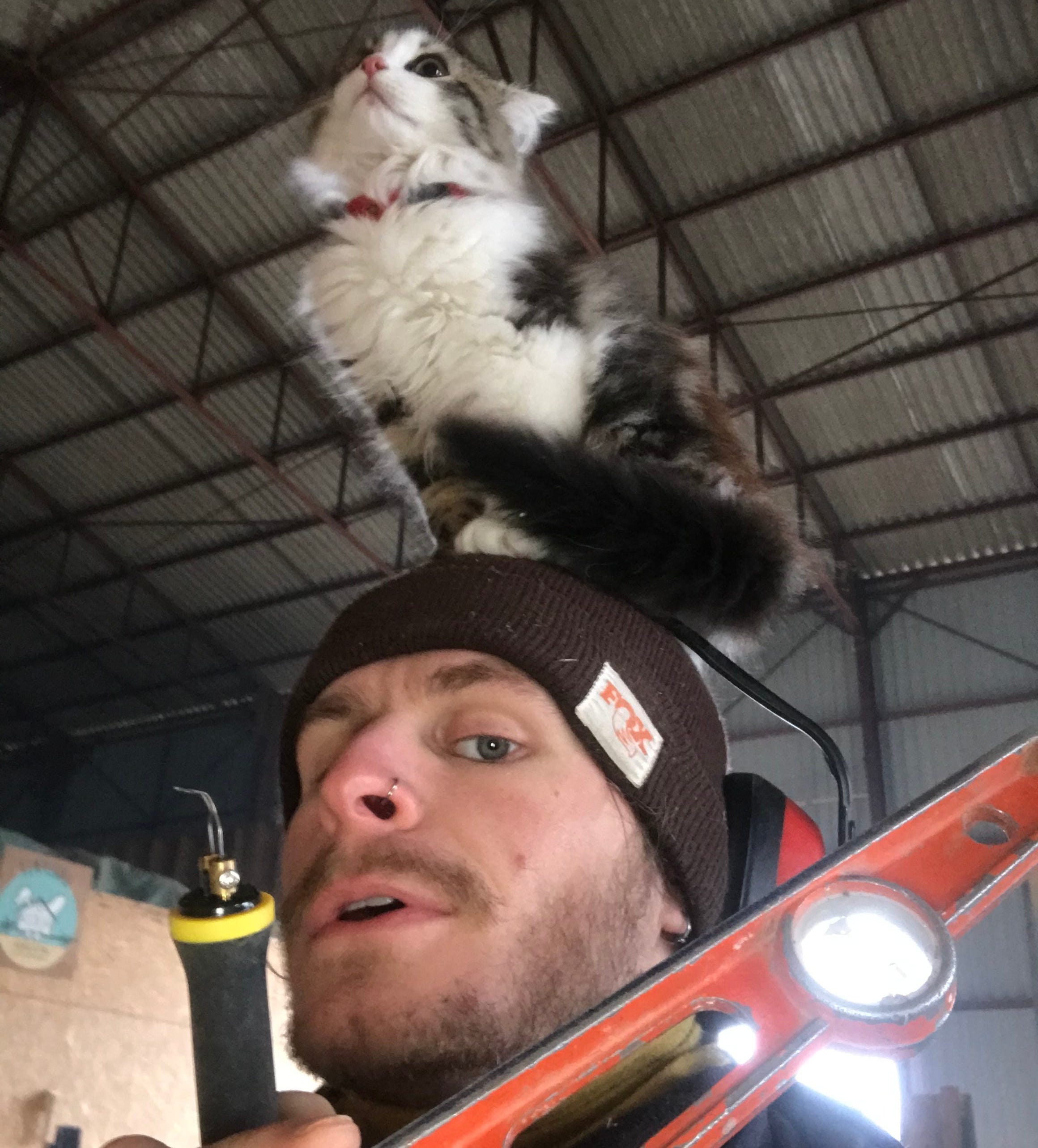 Ein Mann trägt Werkzeuge und eine Katze sitzt auf seinem Kopf.