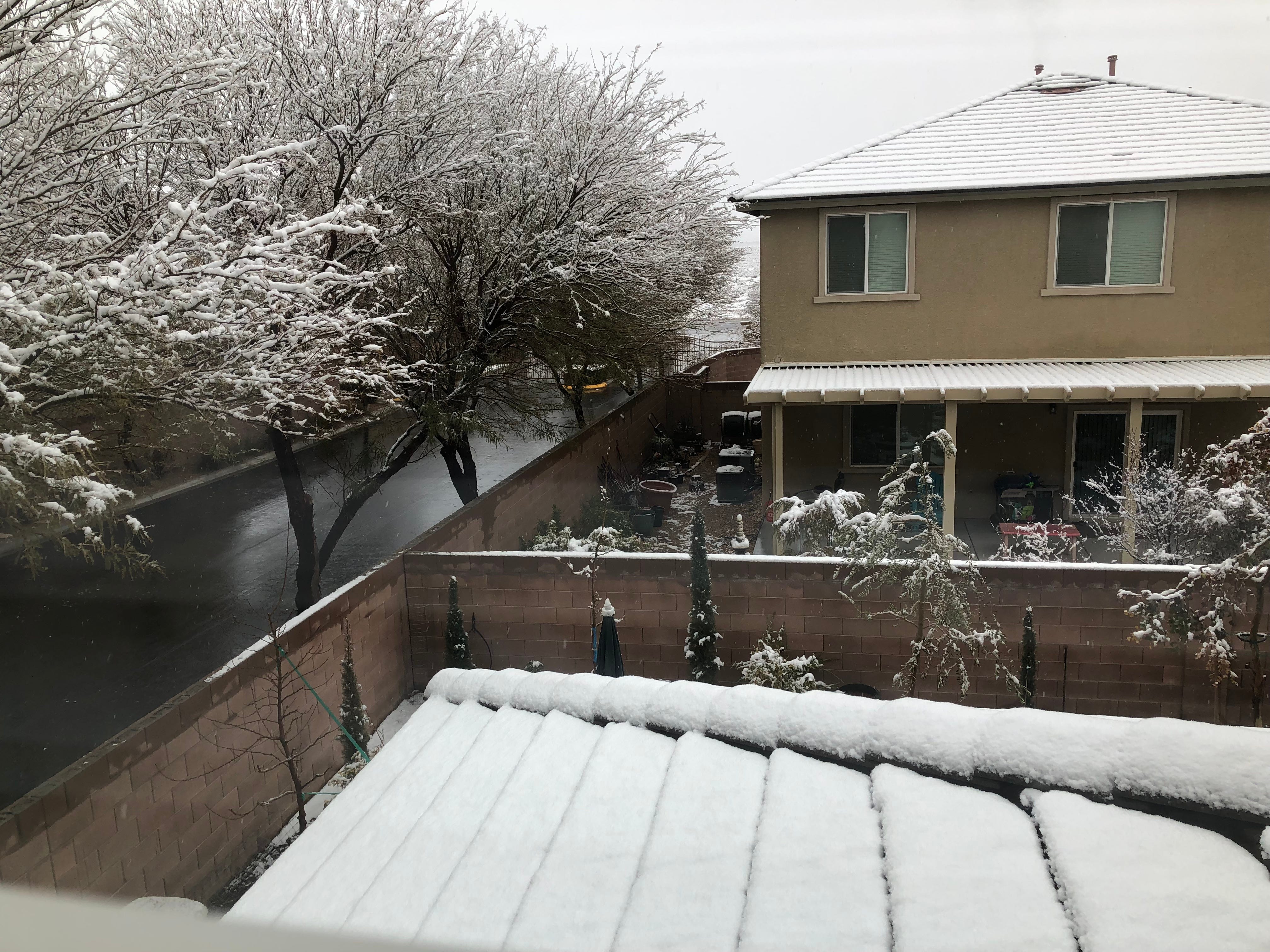 Schnee auf dem Dach zweier Häuser in Las Vegas und auf einer Baumreihe neben einer Straße.
