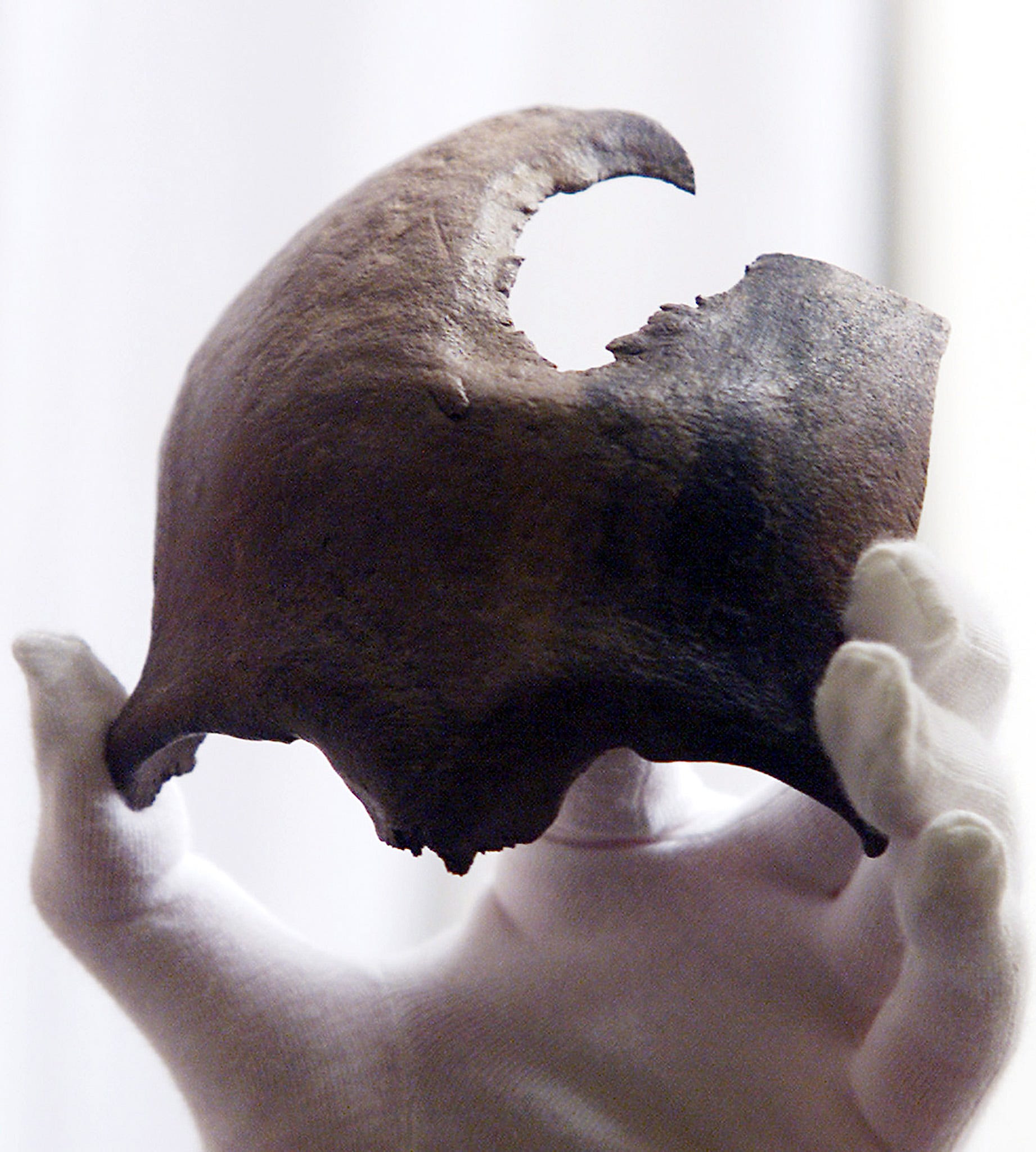 Eine behandschuhte Hand hält ein Stück eines Schädels aus der Bronzezeit