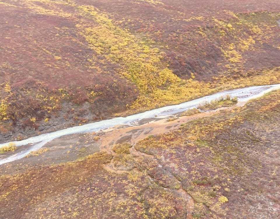 Ein Nebenfluss des Salmon River in Alaska, in den orangefarbenes Wasser fließt