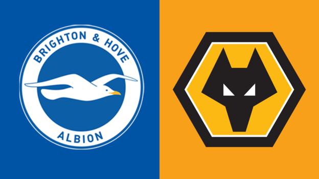 Brighton gegen Wolves