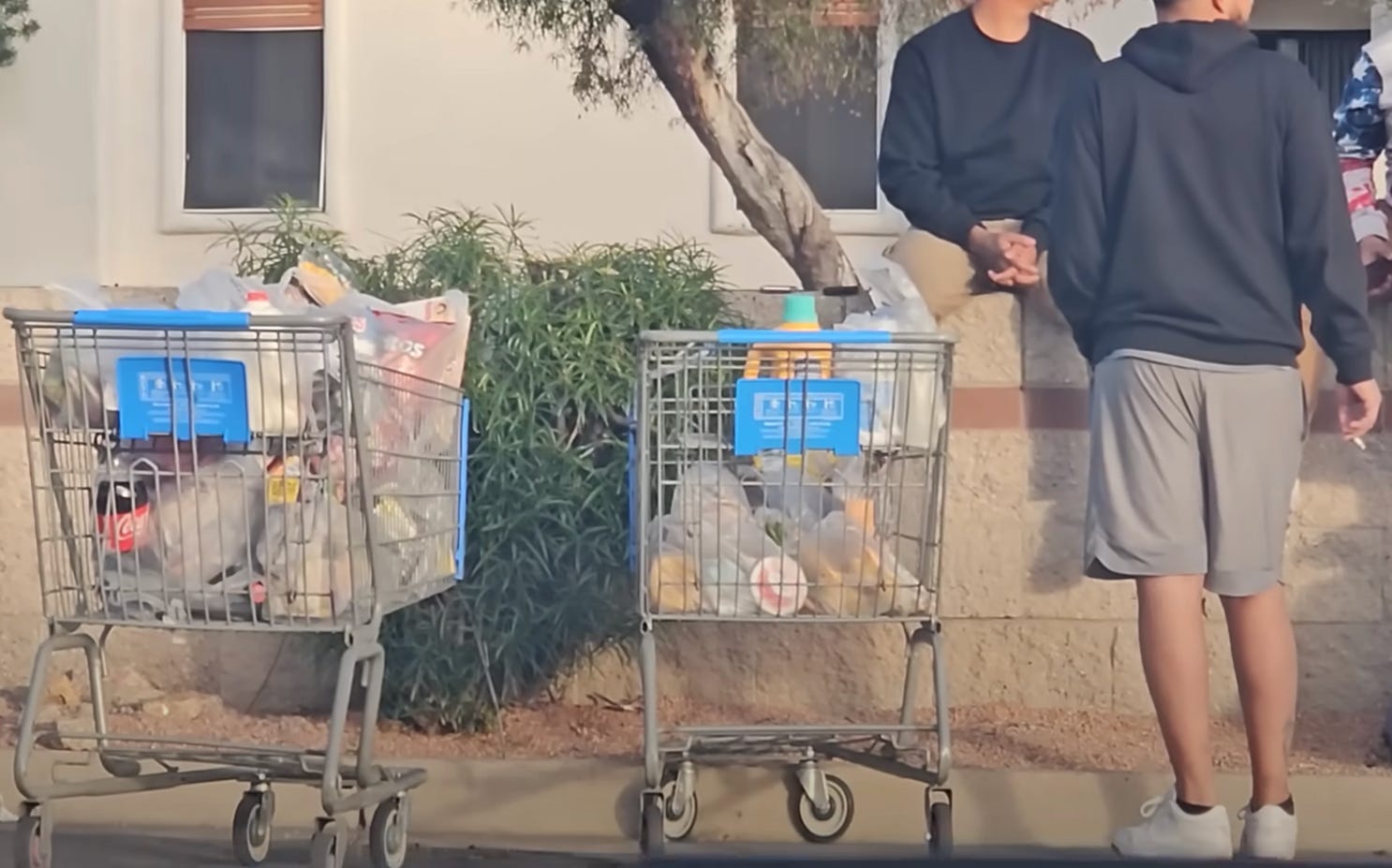 Einkaufswagen voller Lebensmittel auf einem Walmart-Parkplatz.
