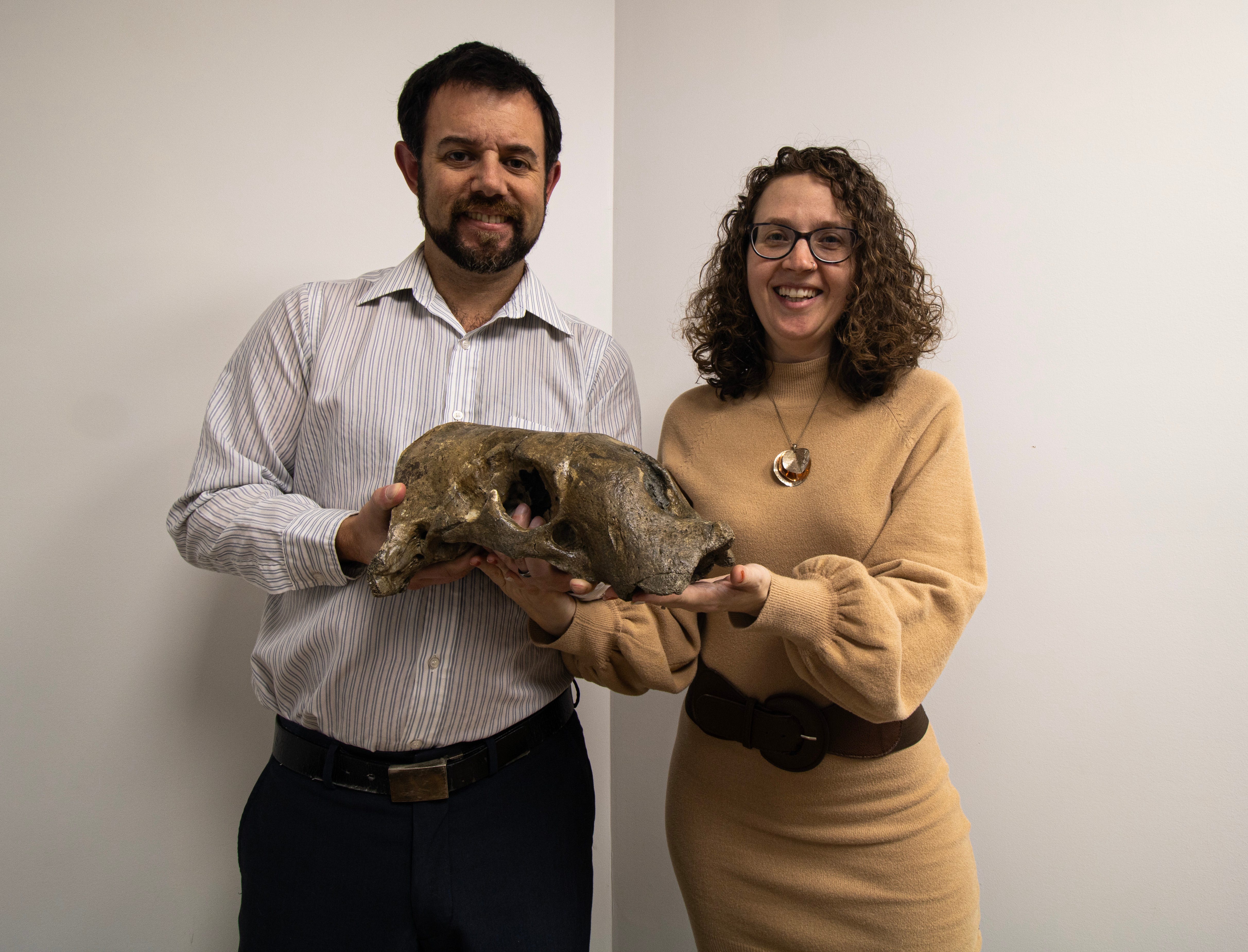 Zwei Menschen halten einen bräunlichen Walrossschädel, der etwa 5 Millionen Jahre alt ist