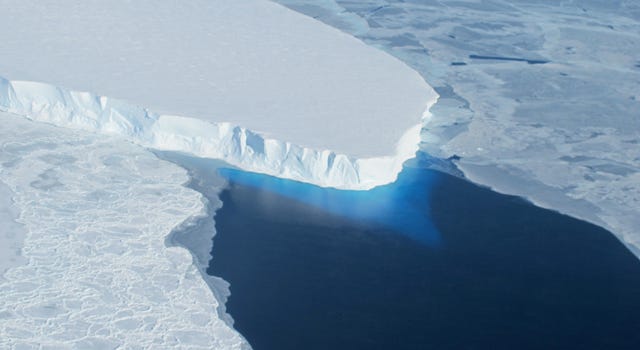 Ein riesiger weißer Gletscher schwimmt auf blauem Wasser.