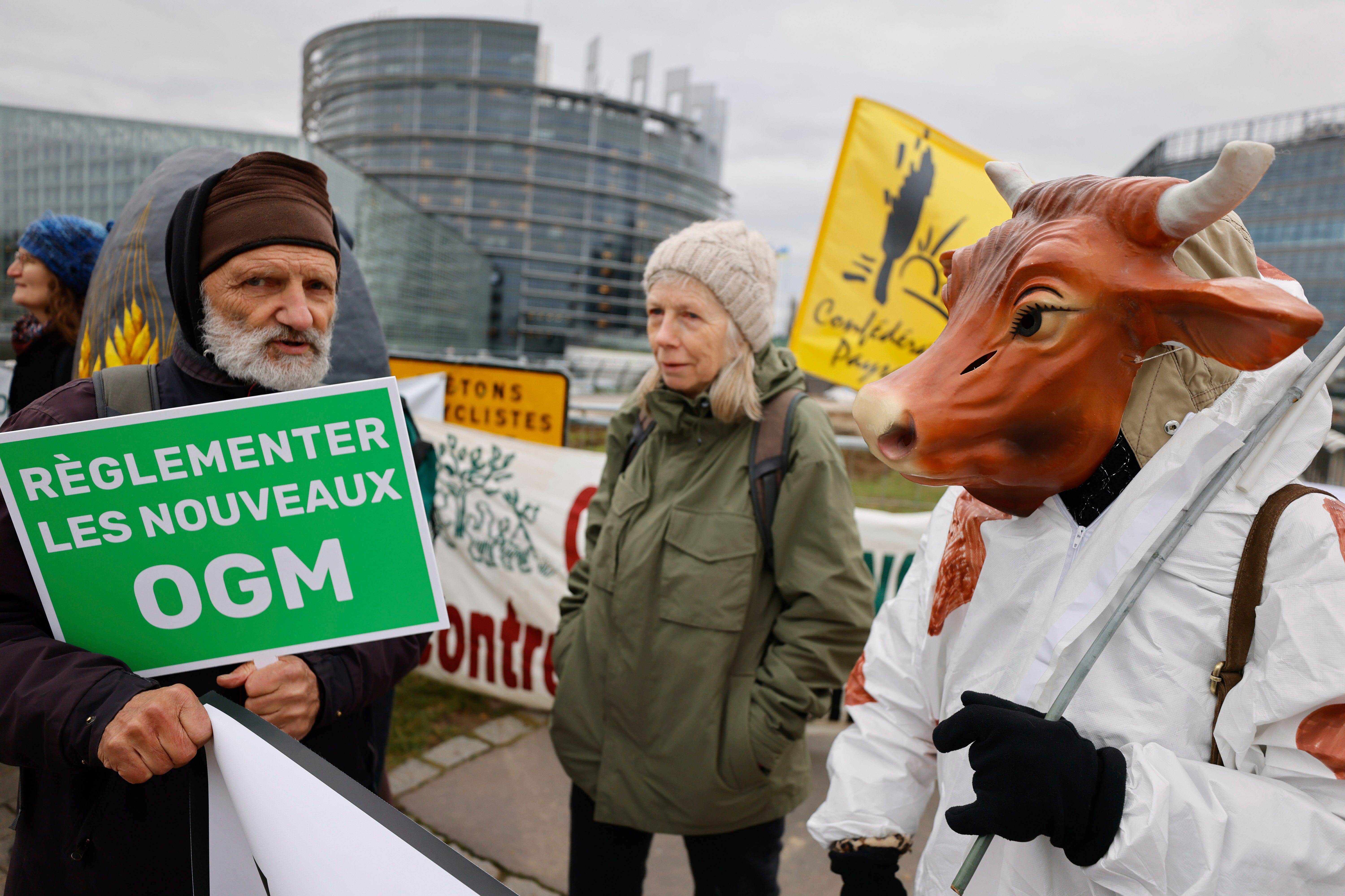 Landwirte in Straßburg protestieren gegen den Anti-Pestizid-Vorschlag der EU.