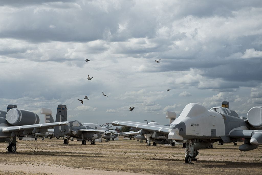 Vögel fliegen am 13. Mai 2015 an Fairchild Republic A-10 Thunderbolt II-Flugzeugen vorbei, die auf dem Friedhof der Aerospace Maintenance and Regeneration Group auf der Davis-Monthan Air Force Base in Tucson, Arizona, gelagert sind.
