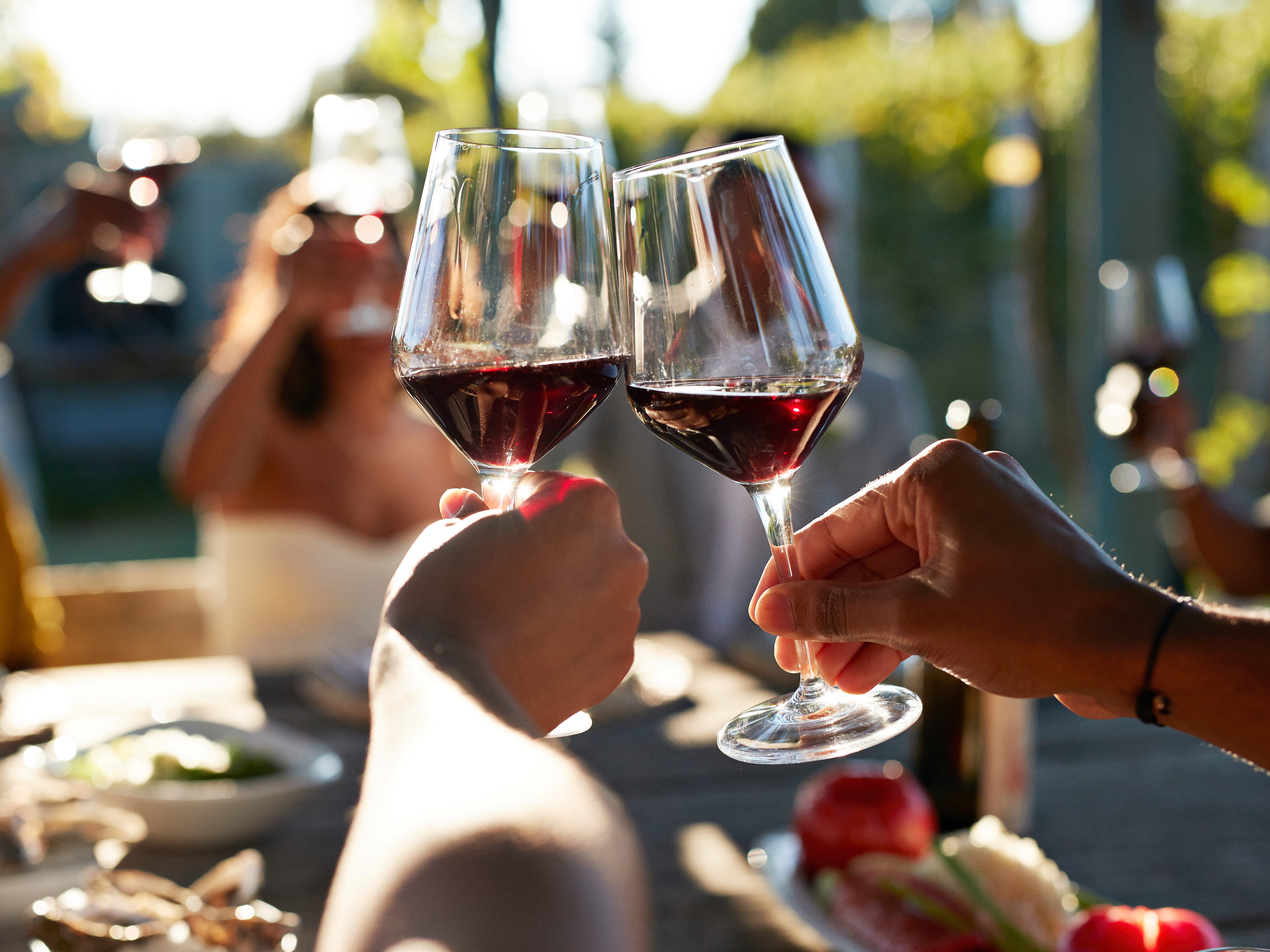 Eine Gruppe von Menschen sitzt draußen an einem Esstisch und stößt mit ihren Weingläsern an.