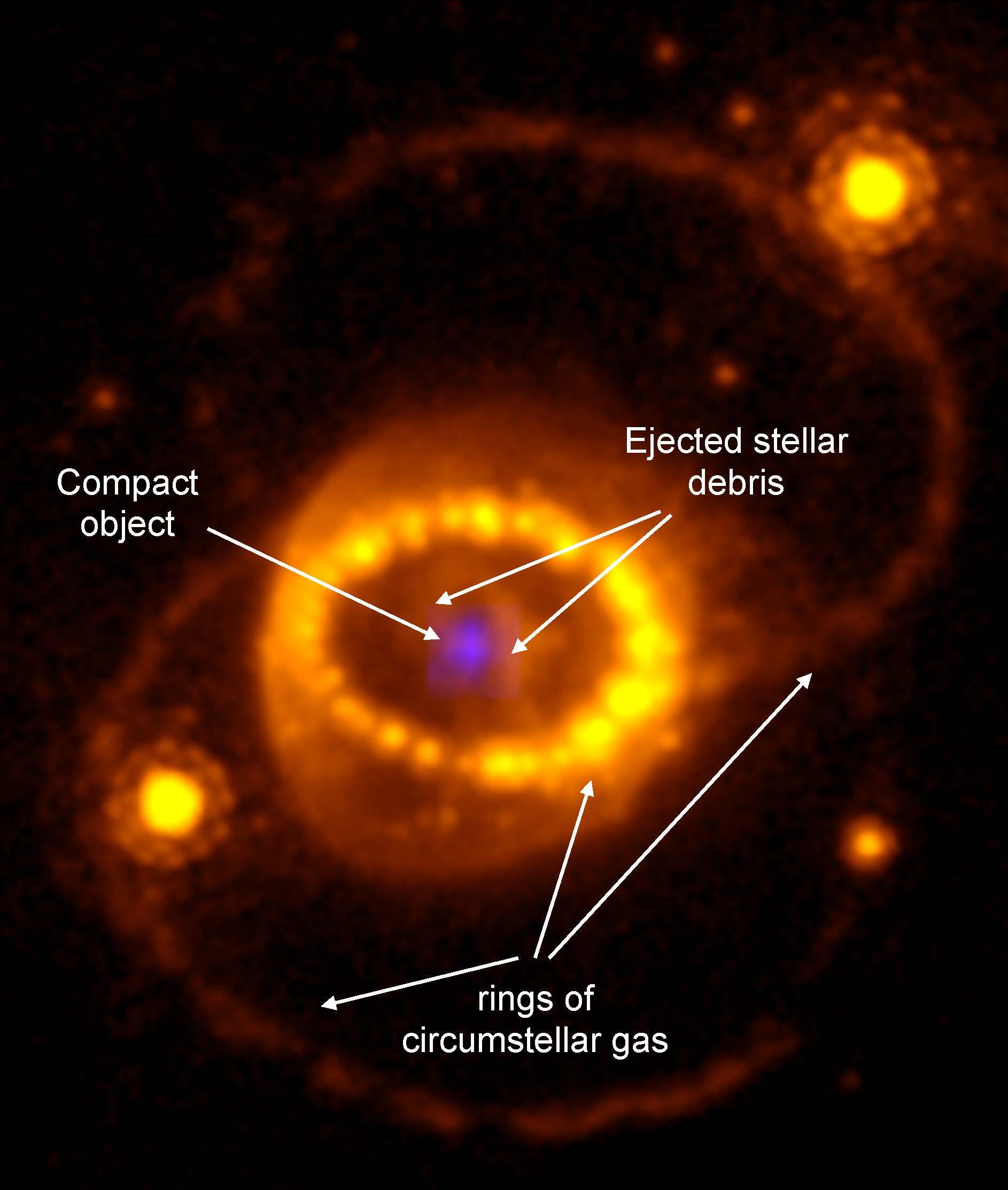 Ein Bild von SN 1987-A mit Beschriftungen, die auf Gasringe, ausgestoßene Sterntrümmer und das kompakte Objekt in seiner Mitte hinweisen.