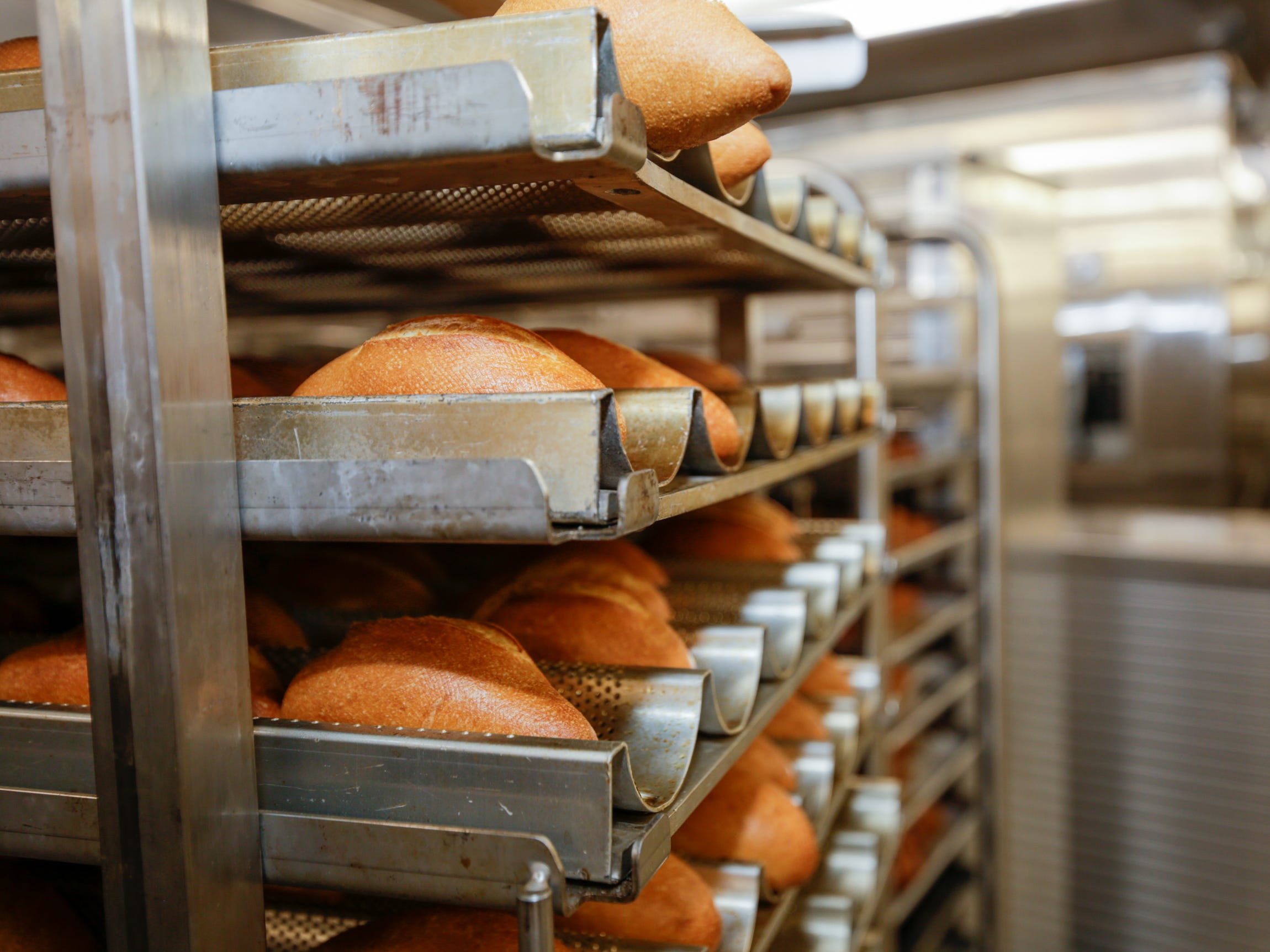 Reihen Brot in einer Küche auf der Icon of the Seas von Royal Caribbean