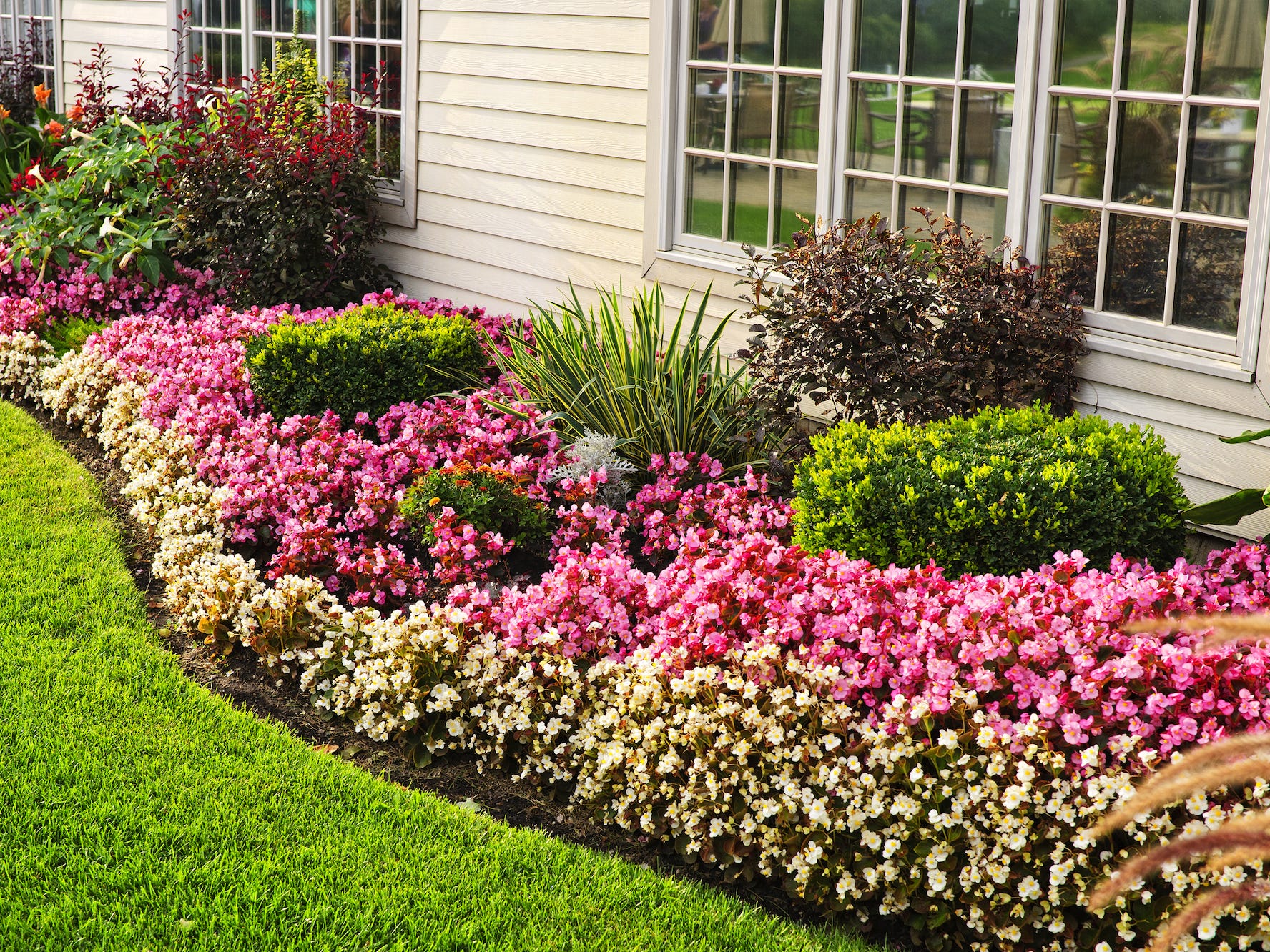 Garten vor einem Haus mit überwiegend rosa und weißen Blumen und einigen Sträuchern