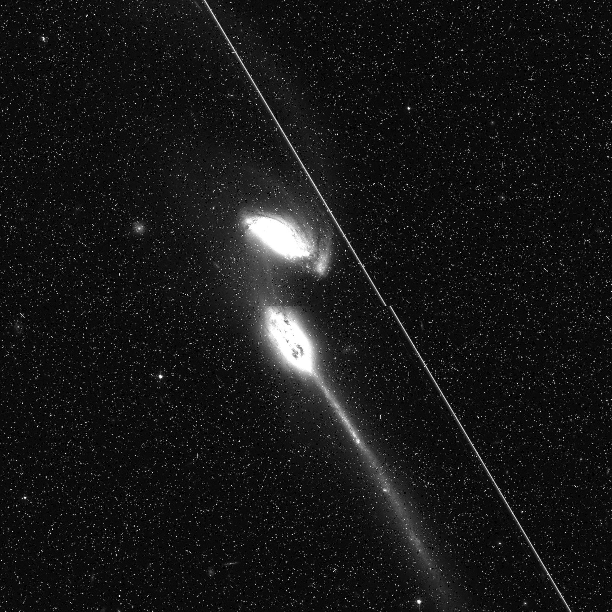 Weiße Satellitenstreifen ziehen sich über ein Schwarz-Weiß-Bild des Sternenuniversums mit zwei hellen Galaxien