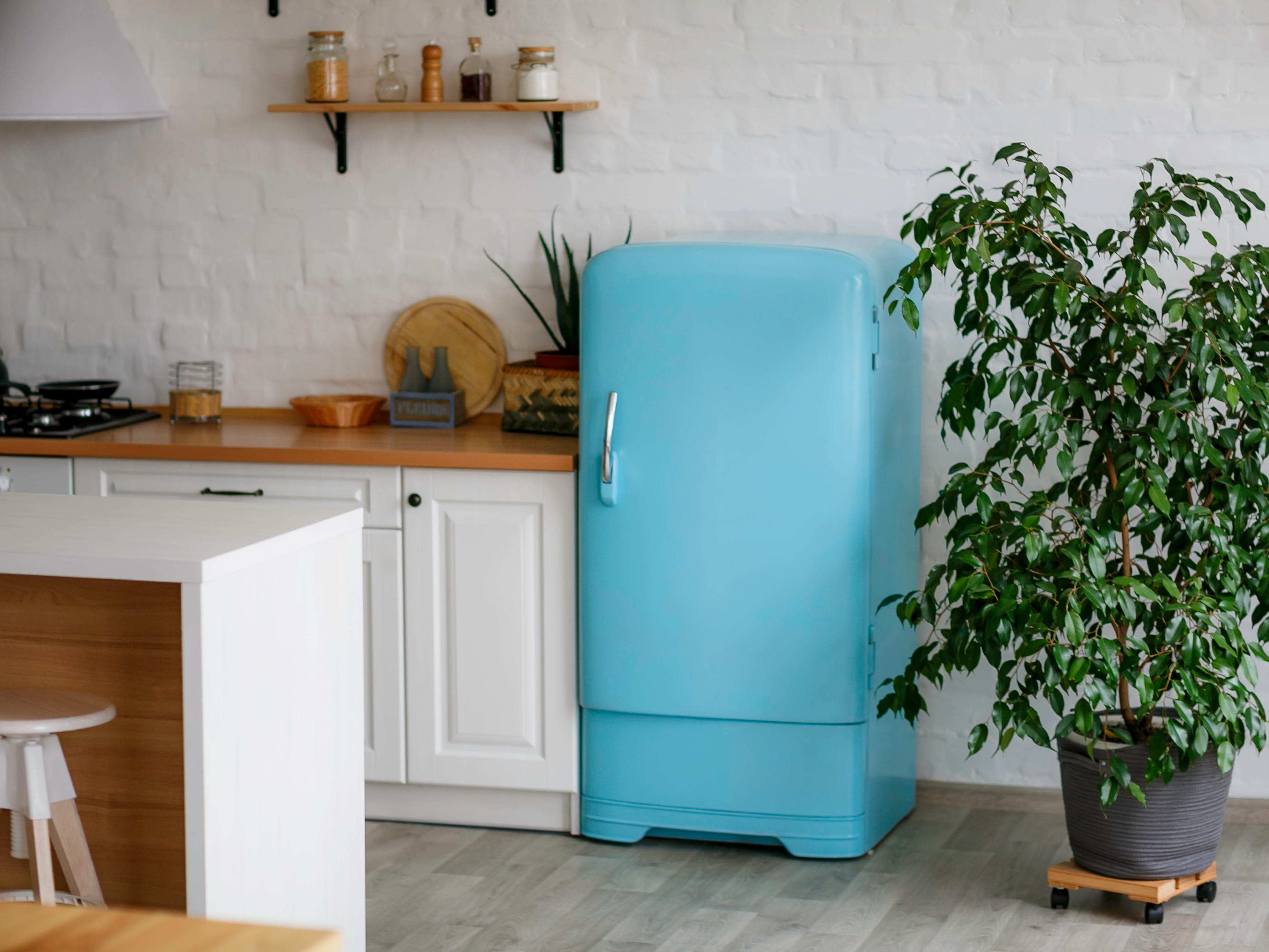 Küche mit Pflanzen, weißen Schränken und kleinem blauen Kühlschrank