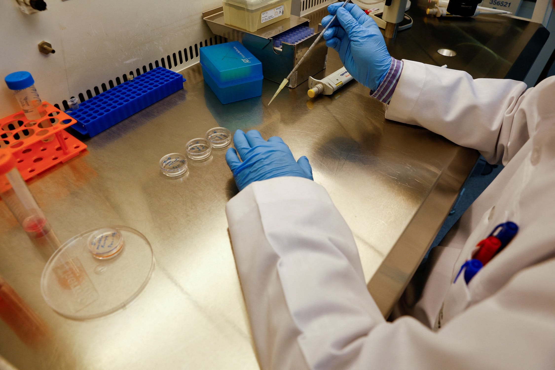Zwei Hände mit blauen Handschuhen halten Instrumente in einem Labor zum Klonen
