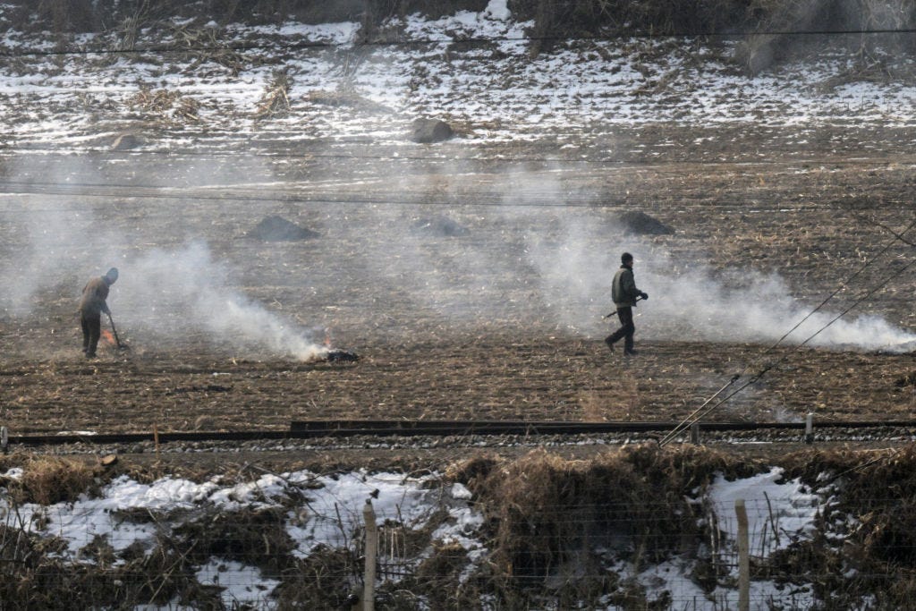 Nordkoreaner arbeiten auf einem Feld.
