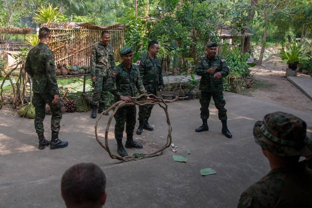 Ausbilder der Royal Thai Marine diskutieren während einer Dschungel-Überlebensdemonstration mit US-Marineinfanteristen über giftige Ranken