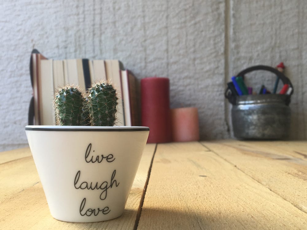 eine Sukkulente auf einem Schreibtisch mit dem darauf gemalten Zitat „Live Laugh Love“.