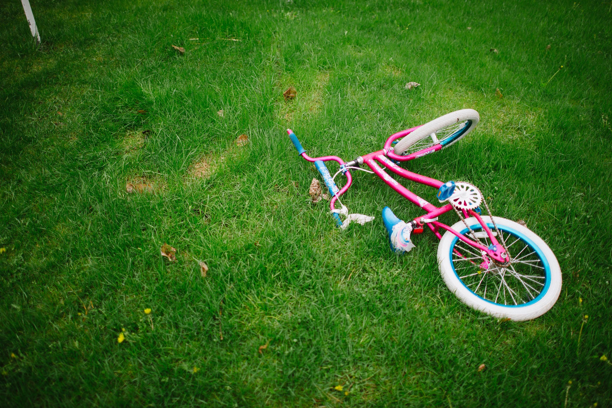 Ein rosafarbenes Kinderfahrrad steht auf grünem Gras.