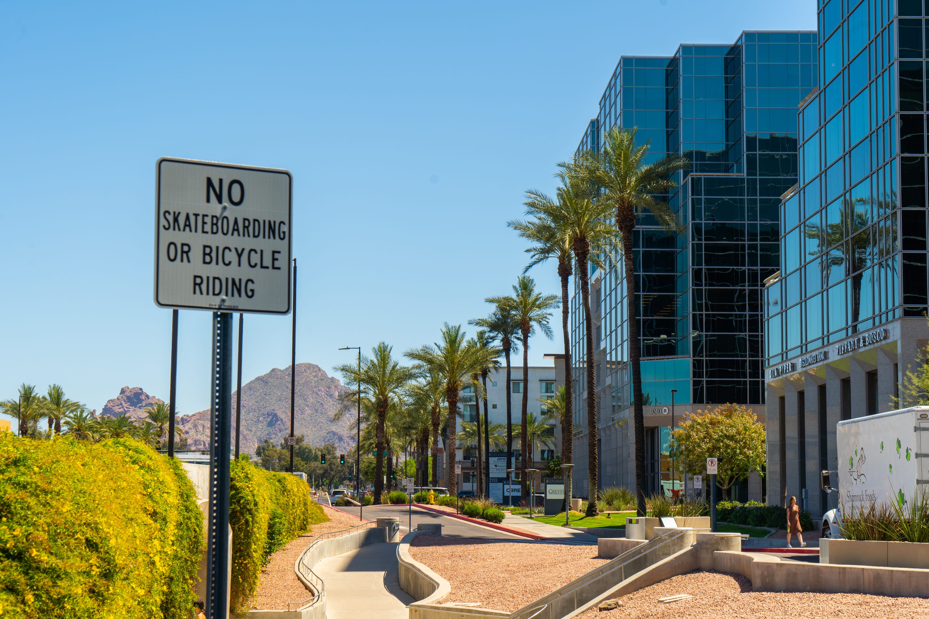 Eine kurvige Straße in Scottsdale, gesäumt von modernen Gebäuden und Palmen.  Berge und blauer Himmel im Hintergrund