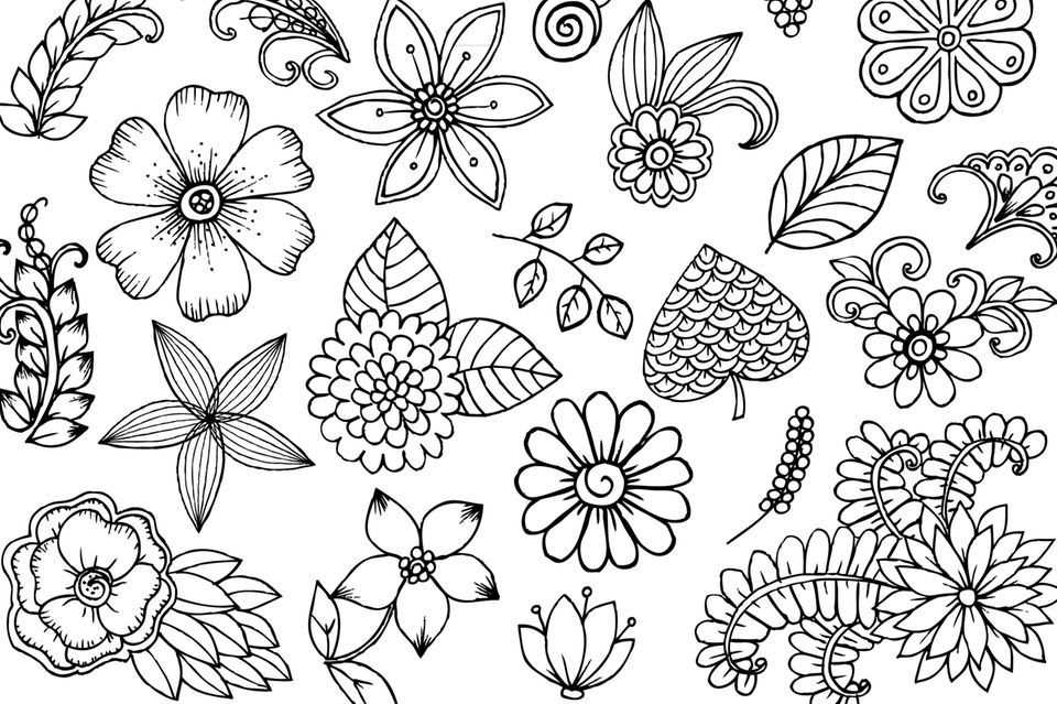 Drawing doodles: flower sketches