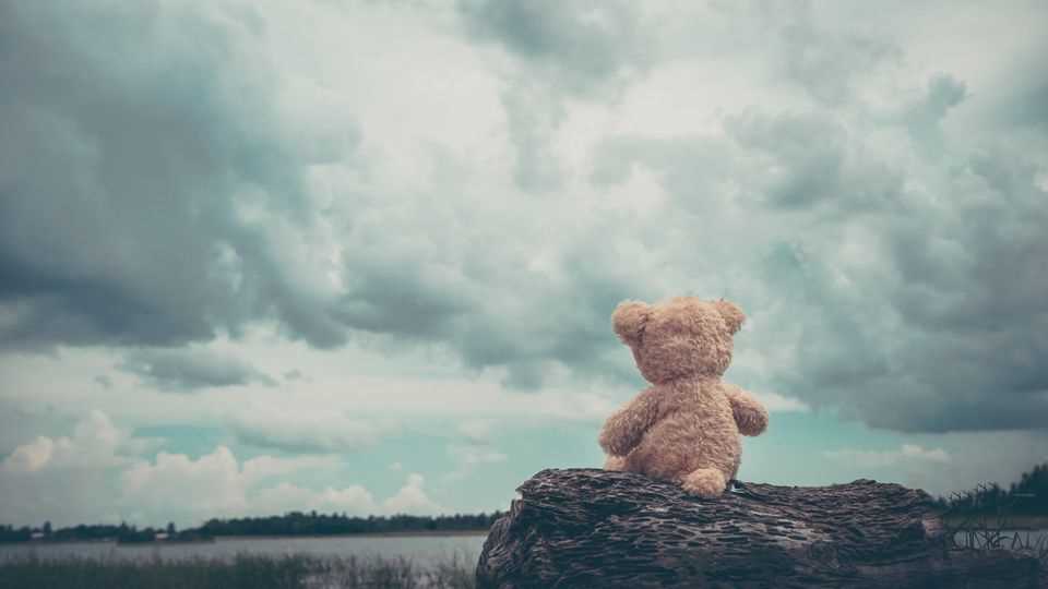 5 measures against loneliness: a lonely teddy by the sea