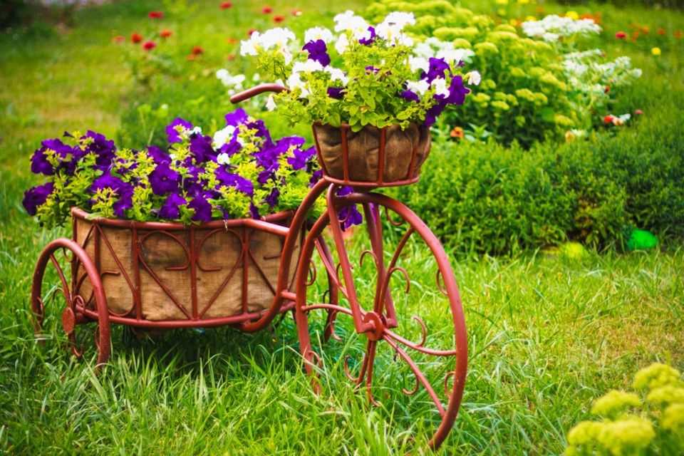 Decorate the garden: bike in the garden with flowers