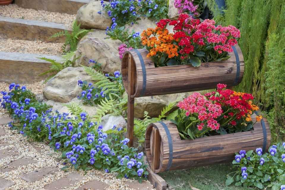 decorate the garden: plant pots