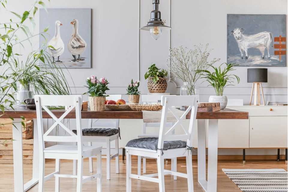 Dining room decoration: dining room with plant decoration