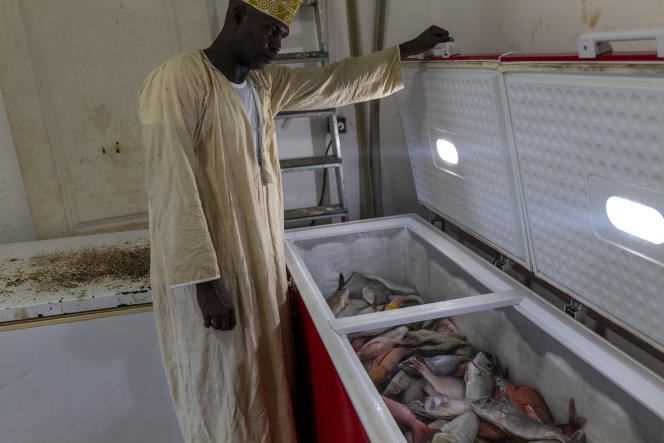 Ahmed Mohamed, fish trader, in his shop in the village of Nyambadao (Mayotte), on March 31.