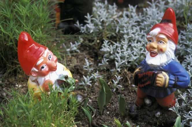The British have liked since the 19th century to place these little bearded figures in the heart of their garden.