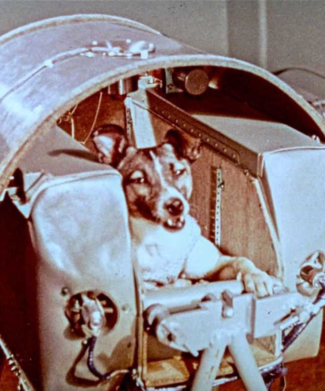 The dog Laïka was the first living being sent into space, on November 3, 1957, by the Soviet Union.