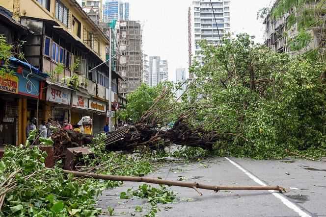 More than 16,500 houses were damaged, 40,000 trees were uprooted and 2,400 villages were without power.