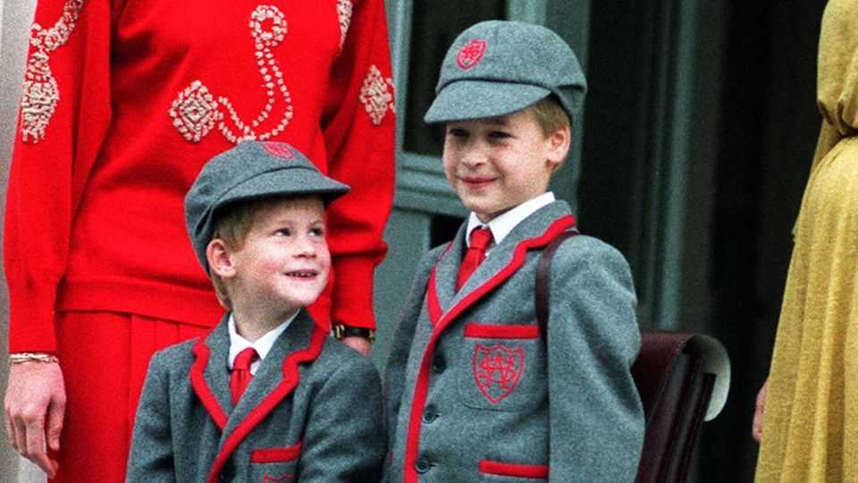 Princess Diana, Prince Harry and Prince William 